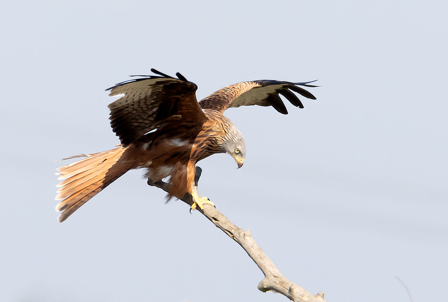 kurze Pause für ihn