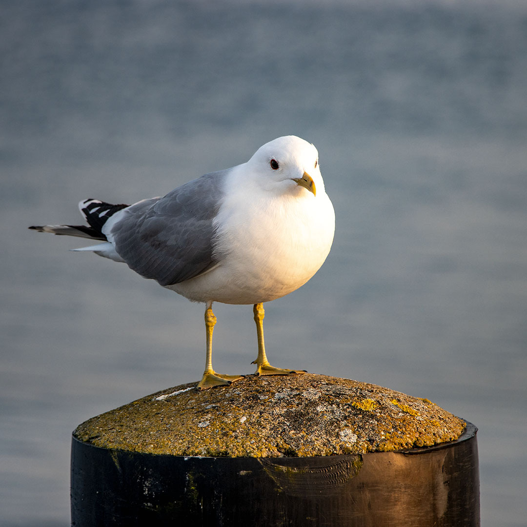 oft unterschätzt....
