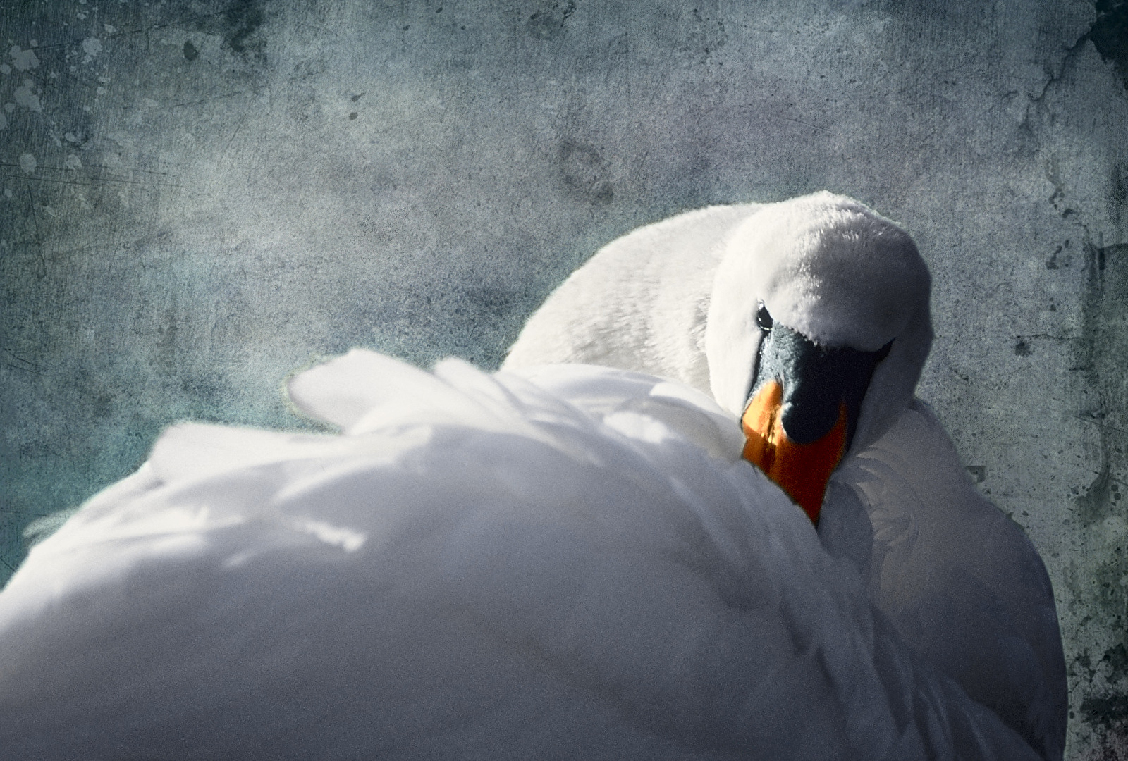 mir schwant nichts Gutes....