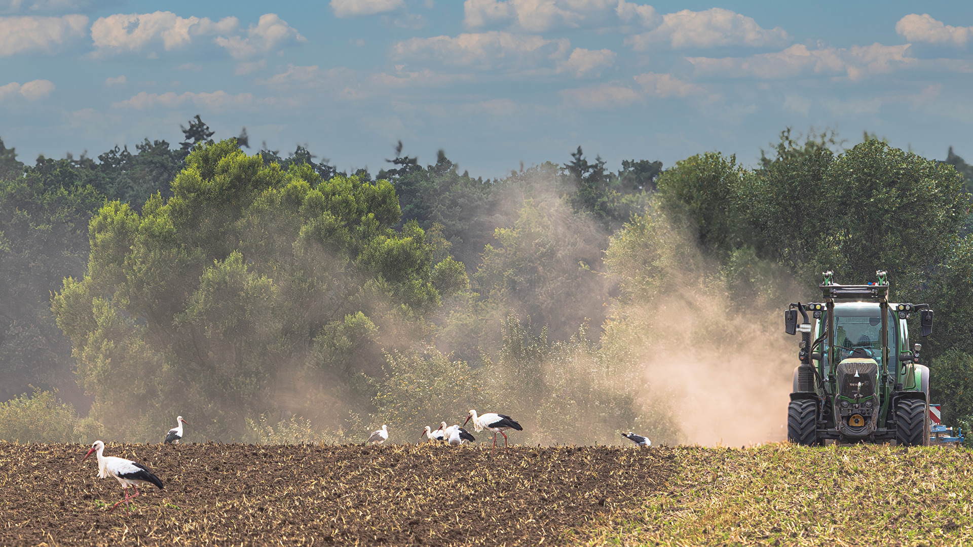 Bald geht es gen Süden, schnell noch stärken . . .