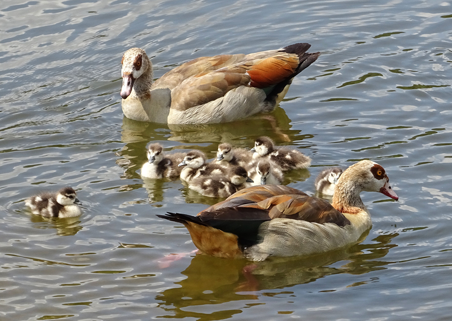 ...auf mein Kommando