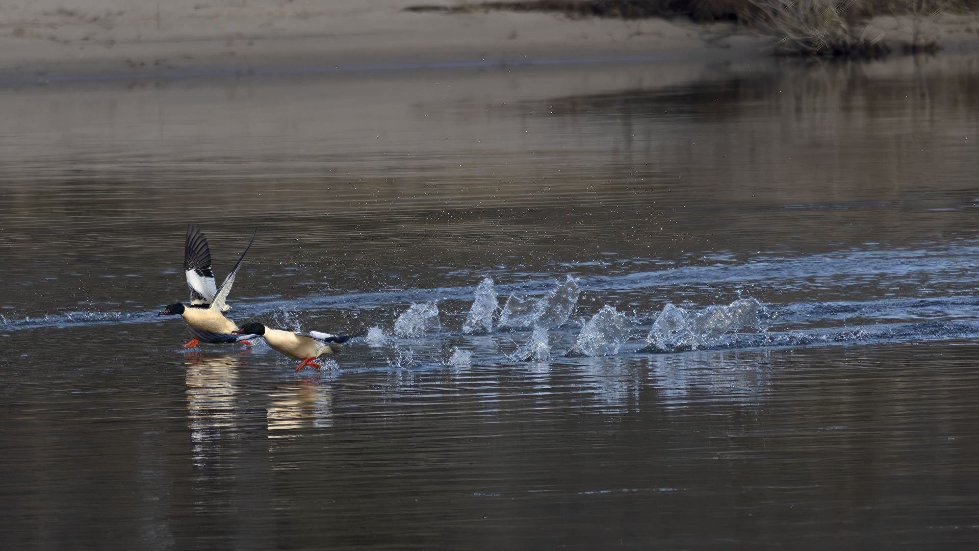 Start und gleich sind sie wieder weg