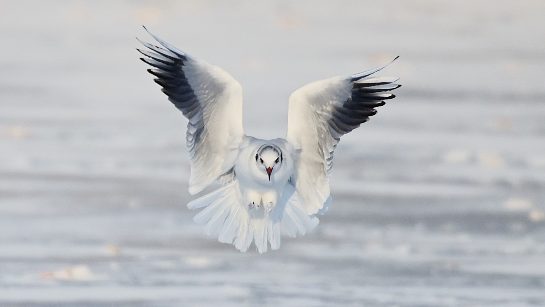 Besuch bei uns im Stadtpark