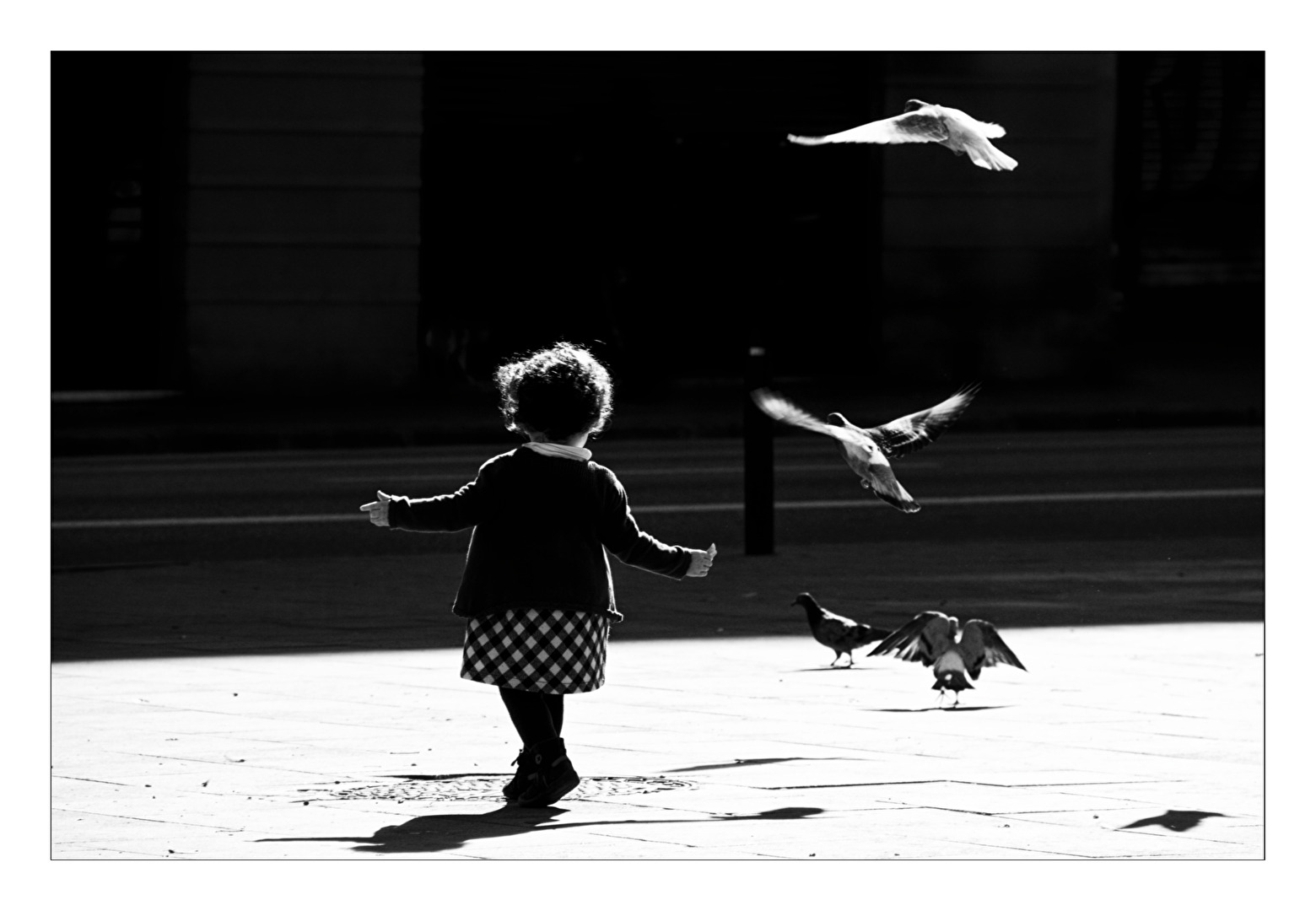fly, bird, fly
