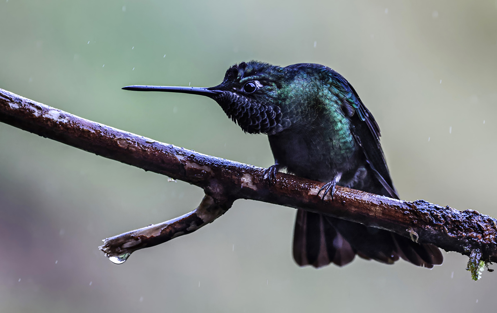 Immer diese miesen Regentage