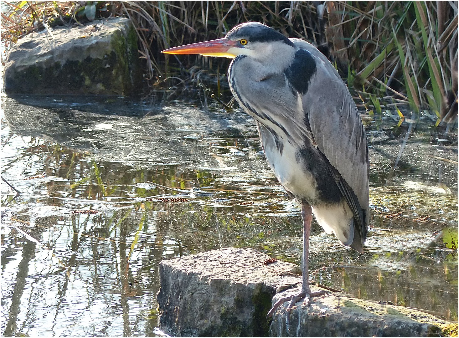 In der Ruhe liegt die Kraft