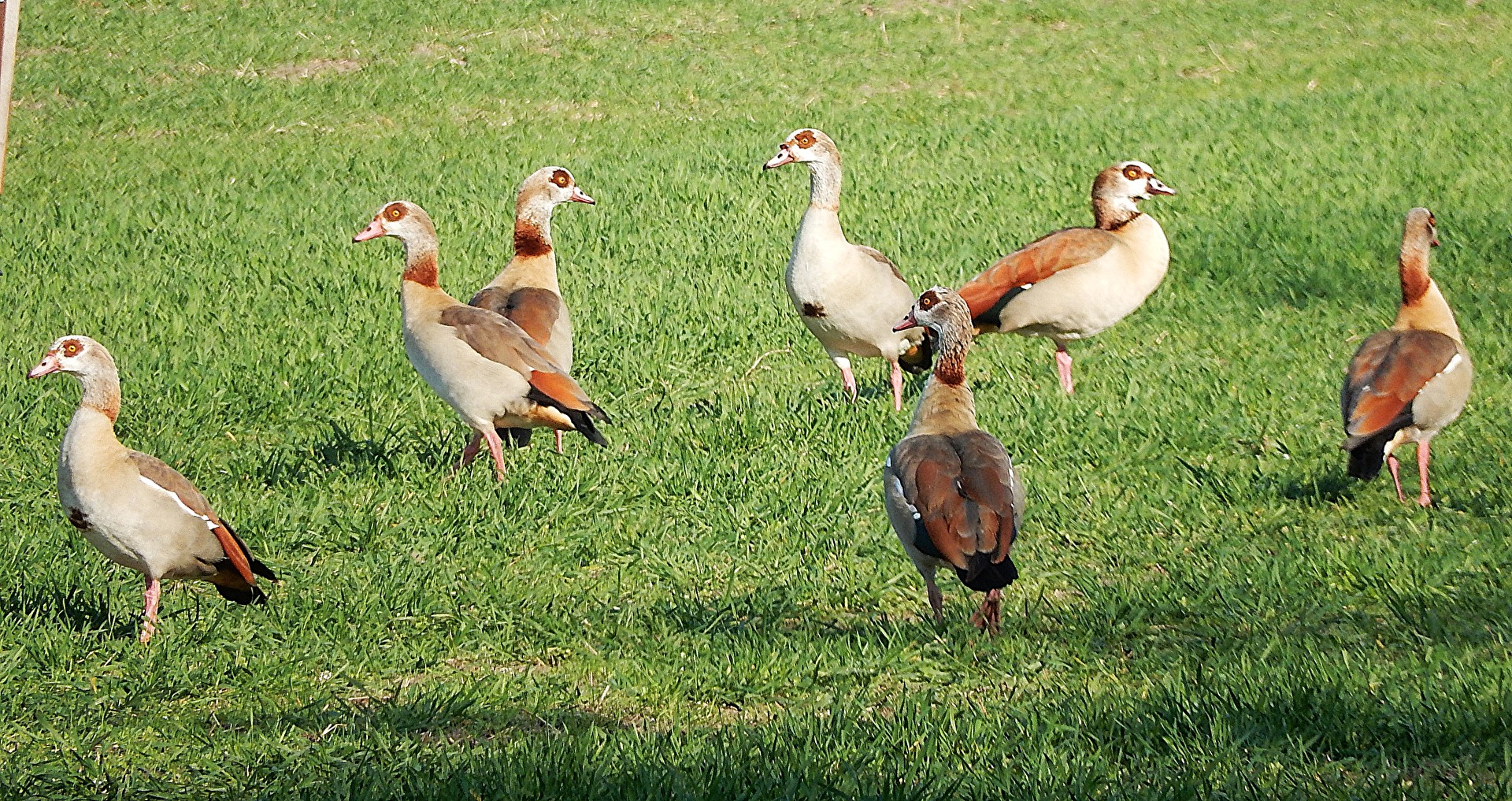na müssen wir schnell weg