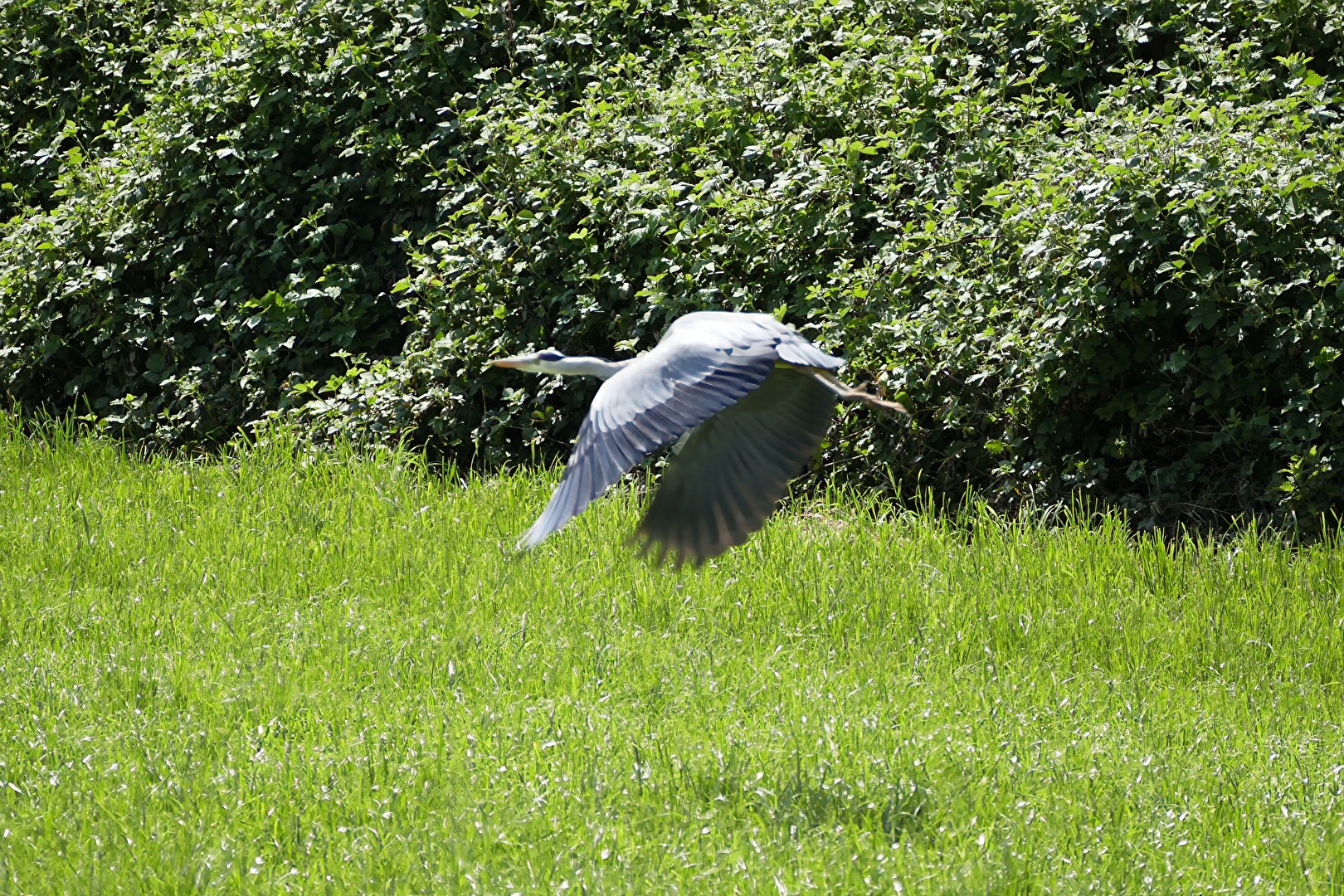 Abflug