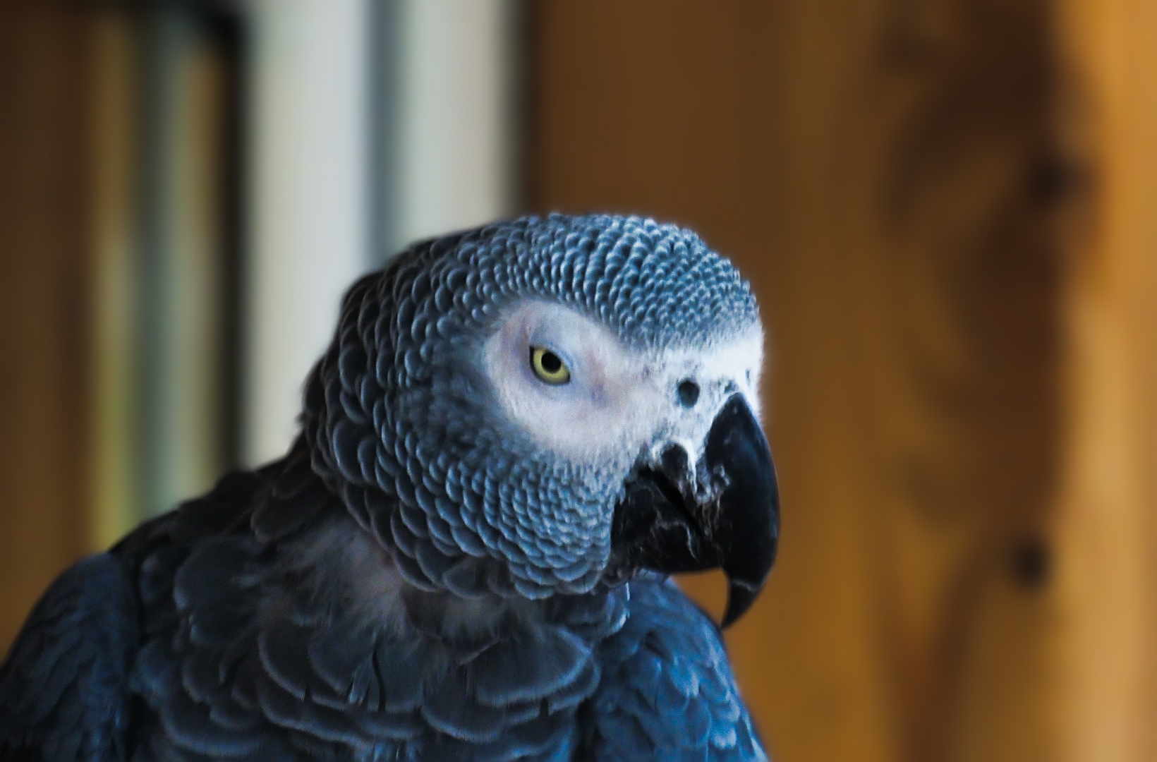 Ich habe Dich im Blick