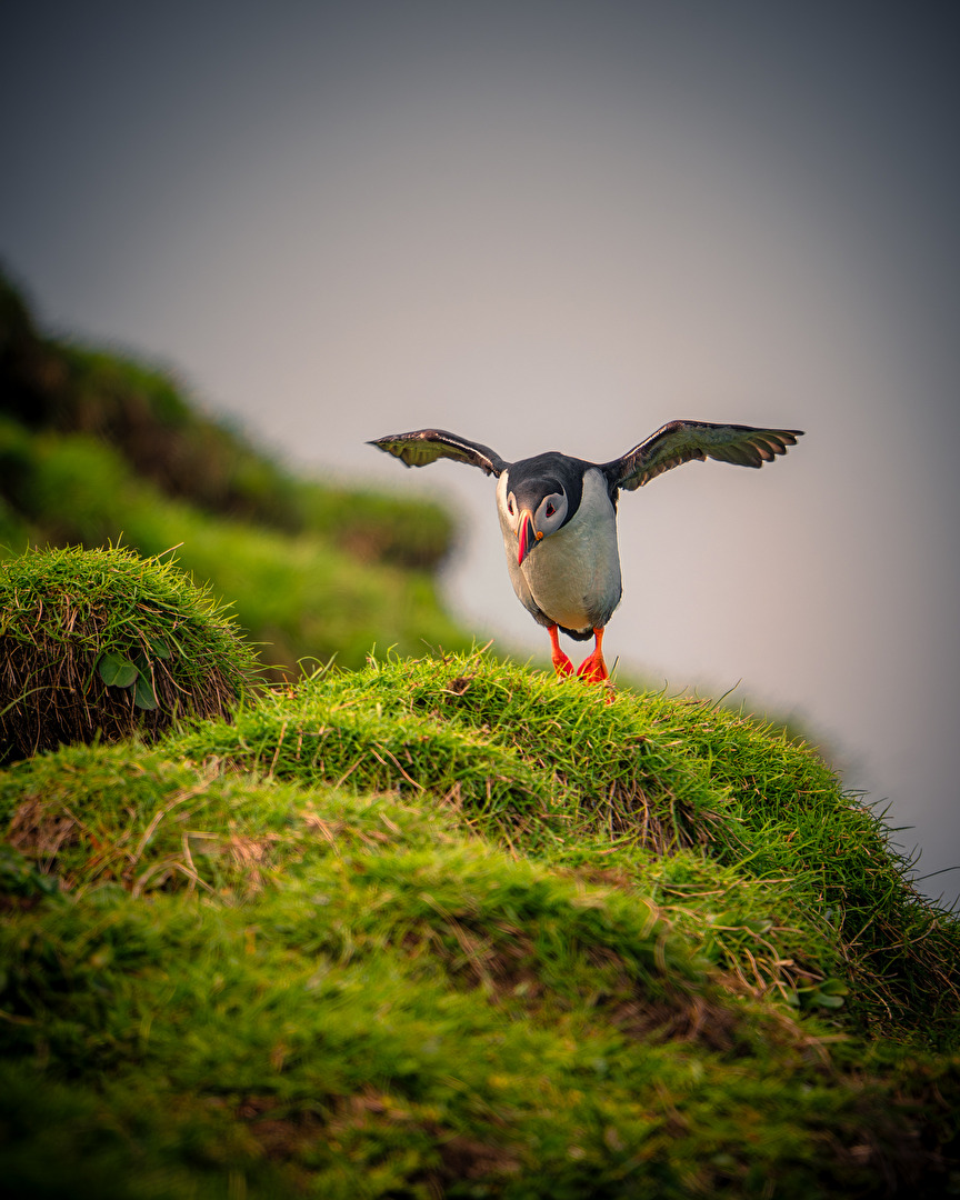Abflug