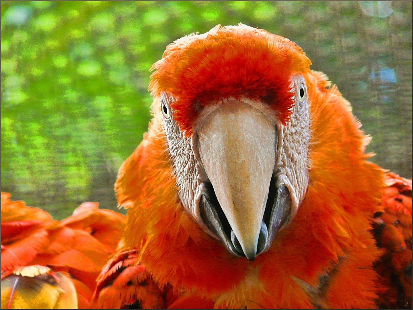 ich habe Dich im Blick !