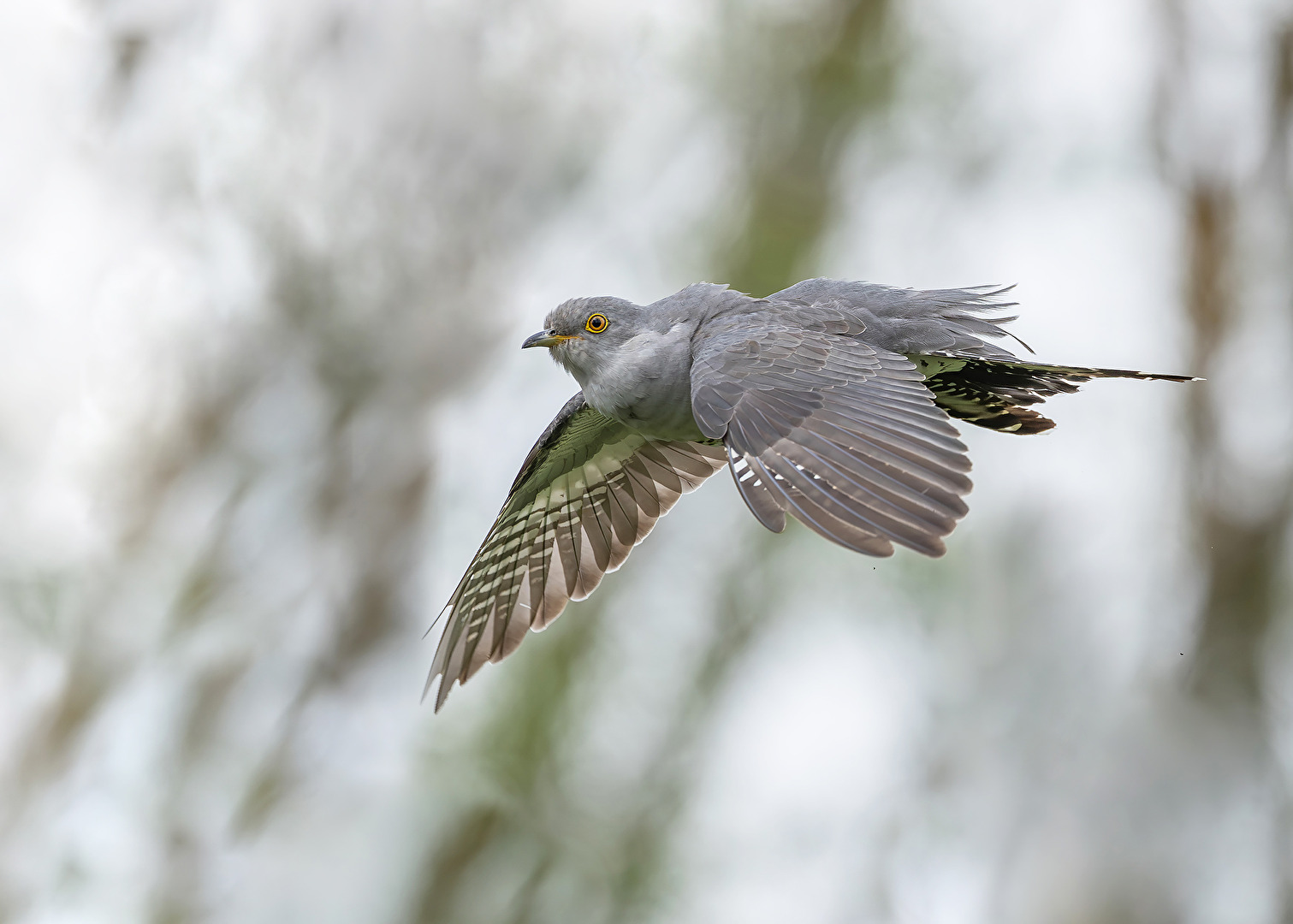 Vorbeiflug