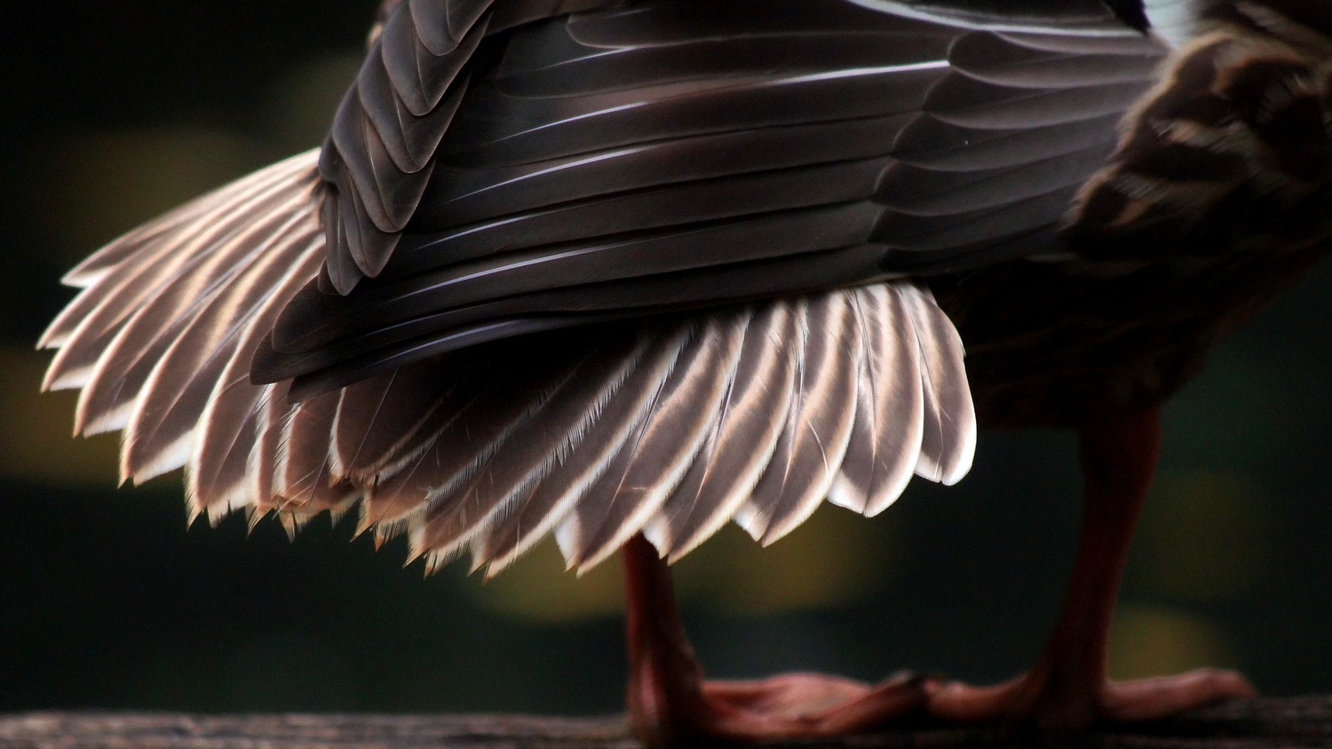 Das Ende