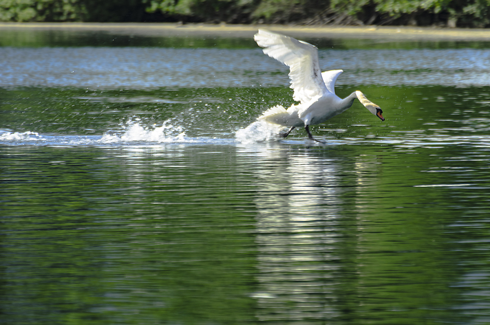 Abflug. 🦢