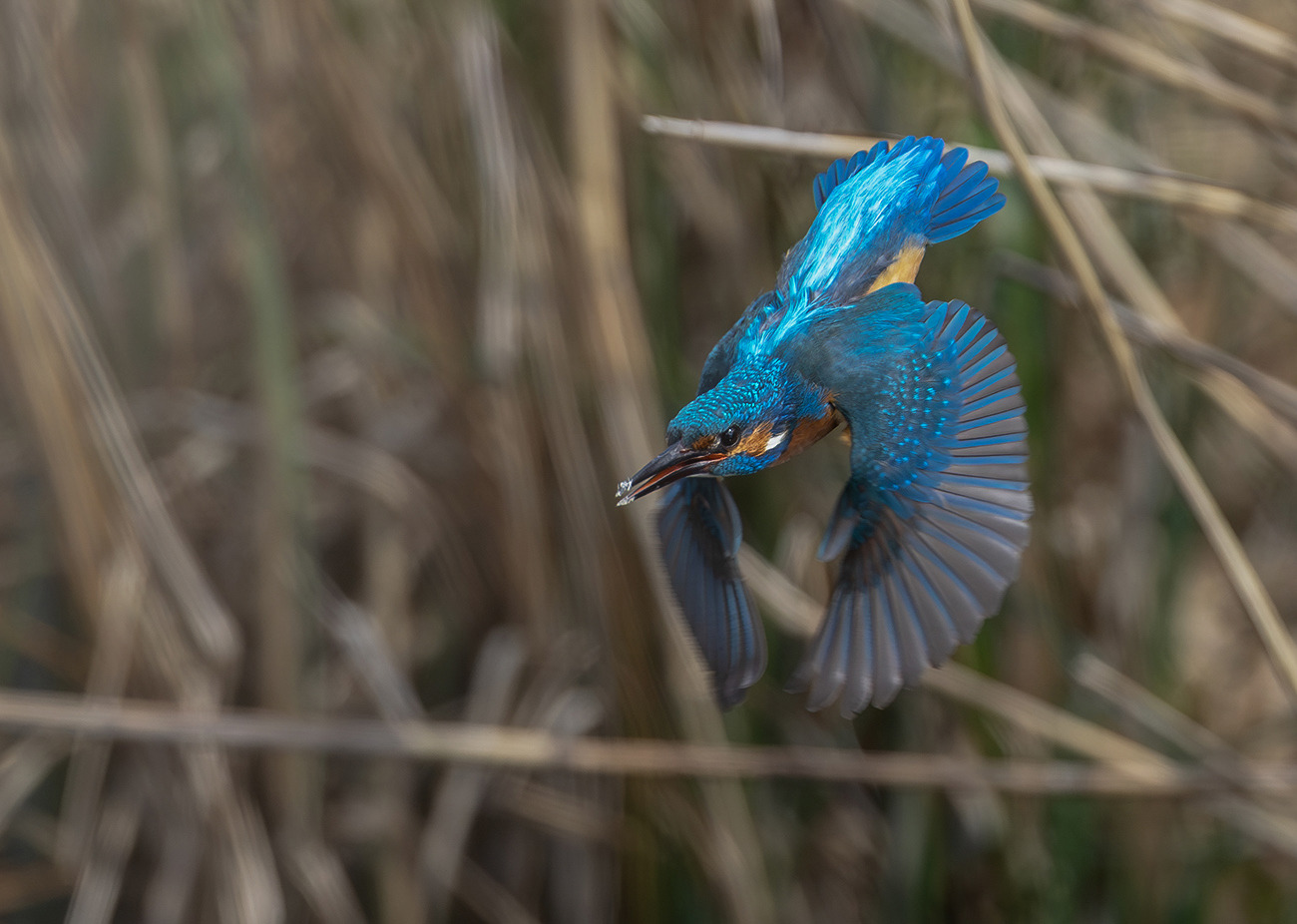 Abflug
