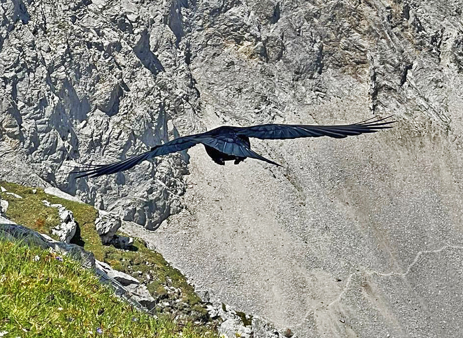 von hinten...