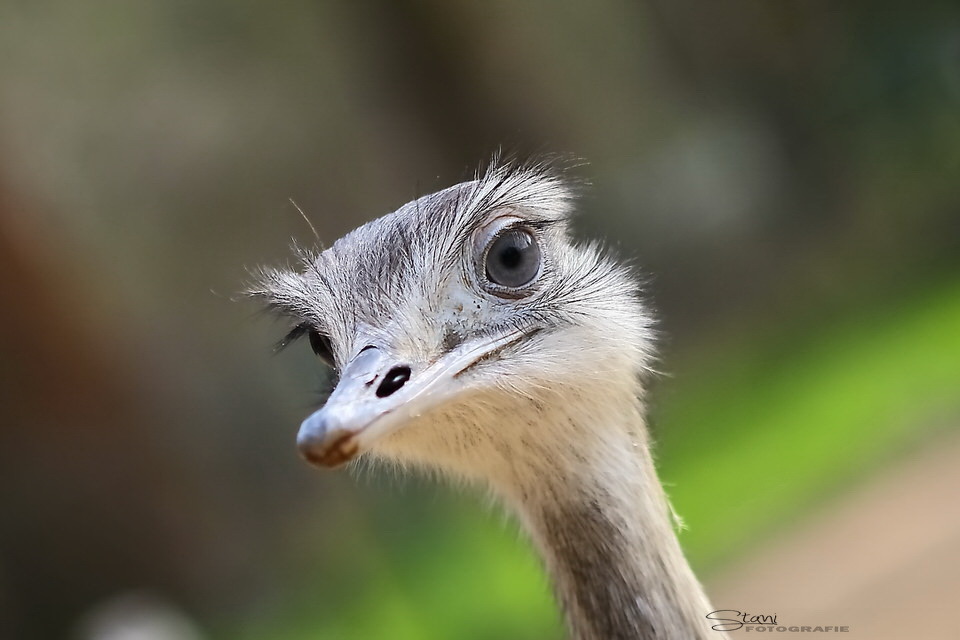 Augen auf...