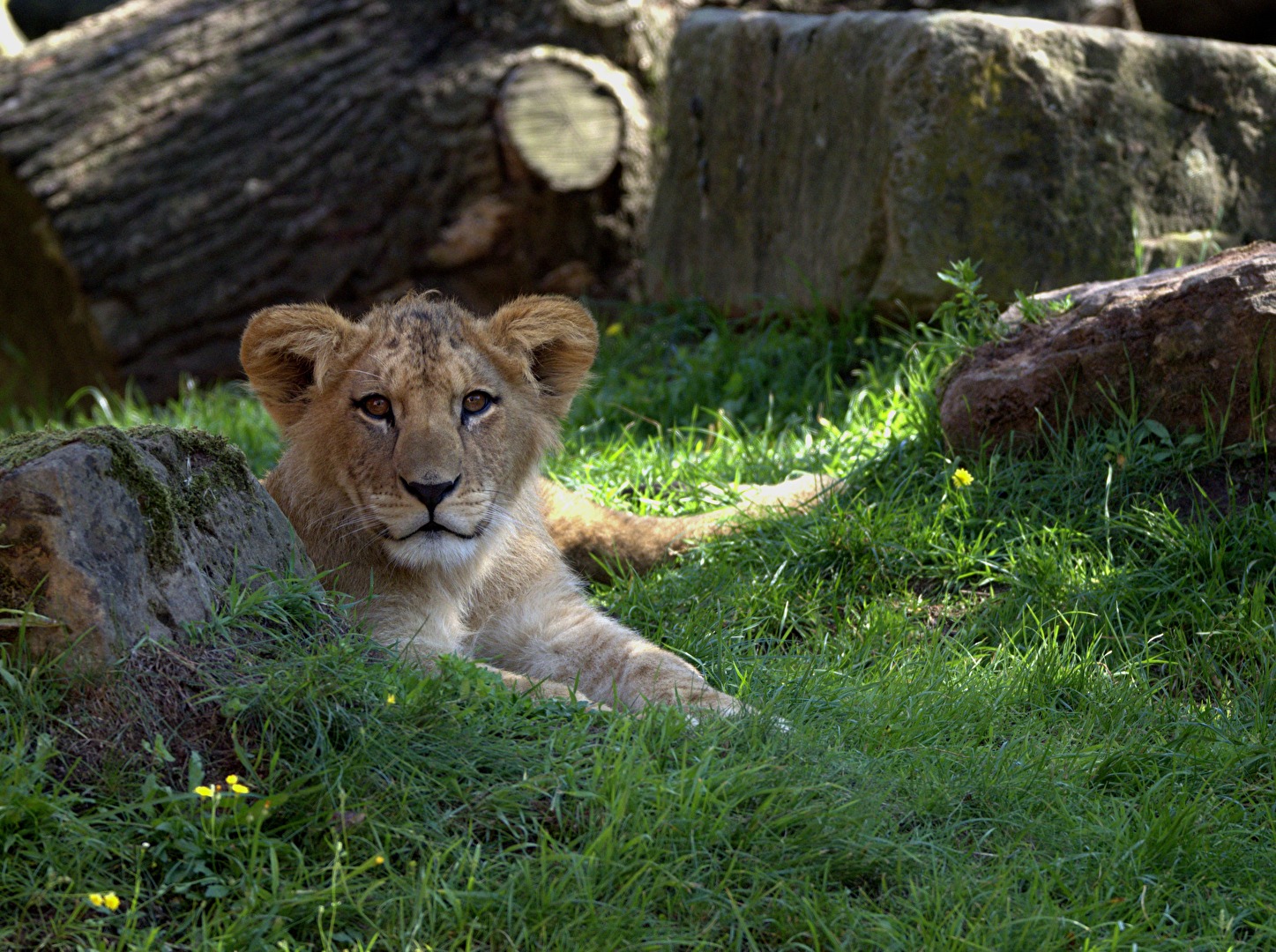 Hast Du mich auch richtig im Blick