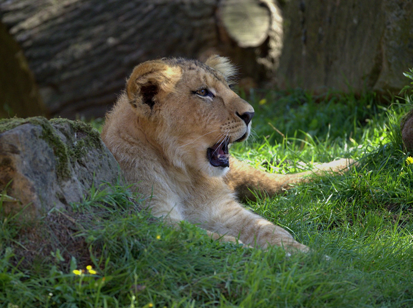 Mal frische Luft einatmen
