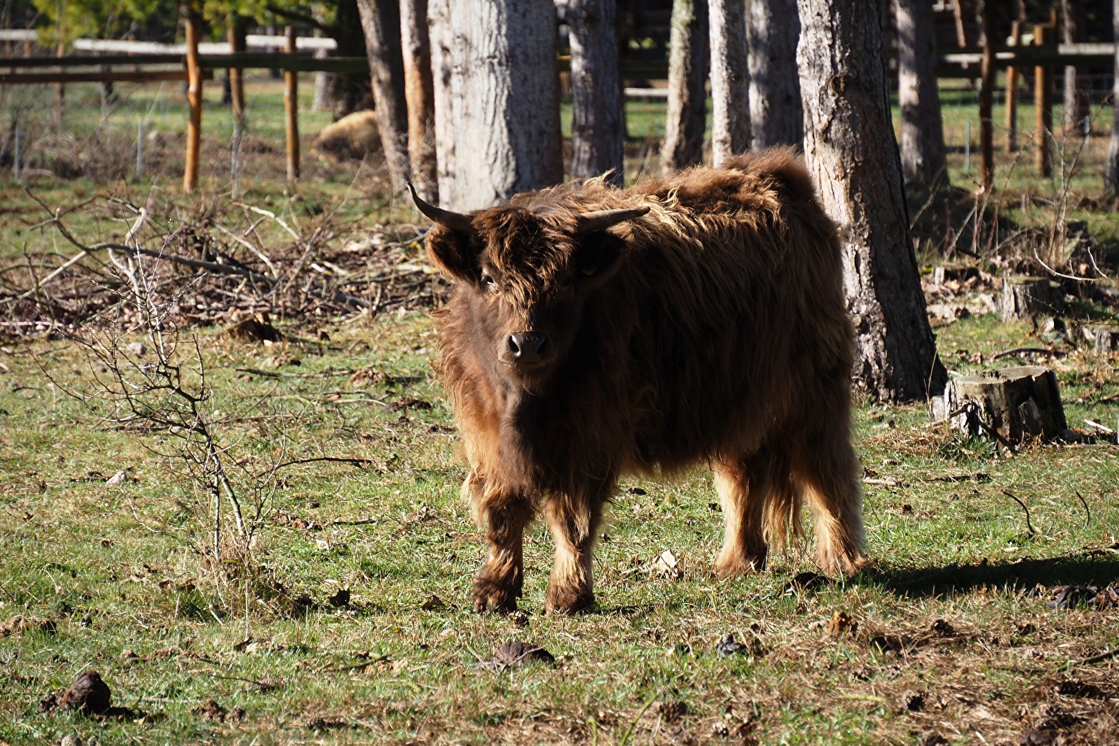 Ich bin mal neugierig