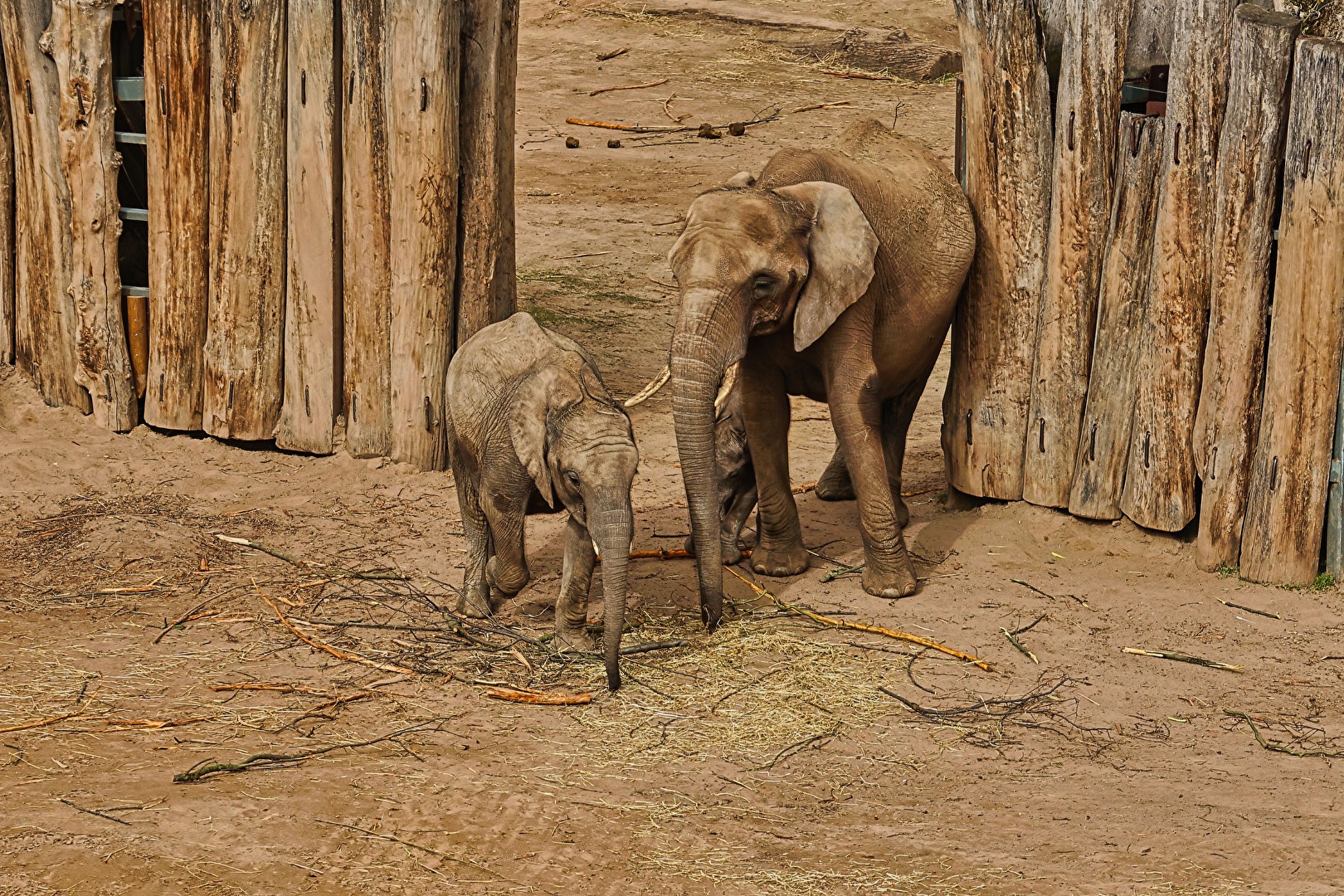 Mutter und ihre Kinder