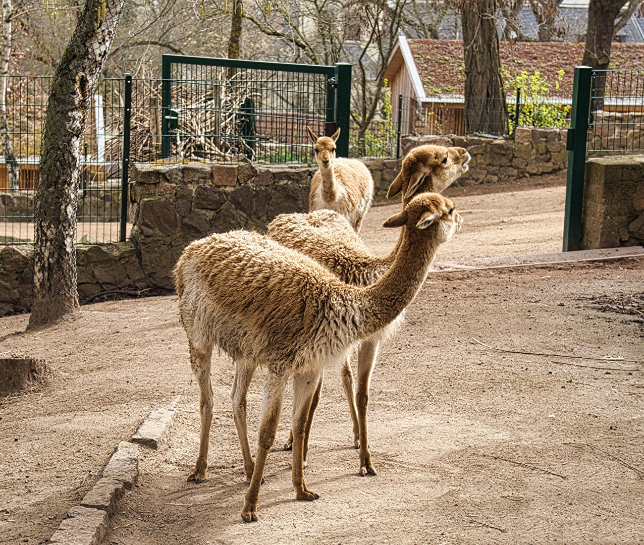 Es liegt was in der Luft