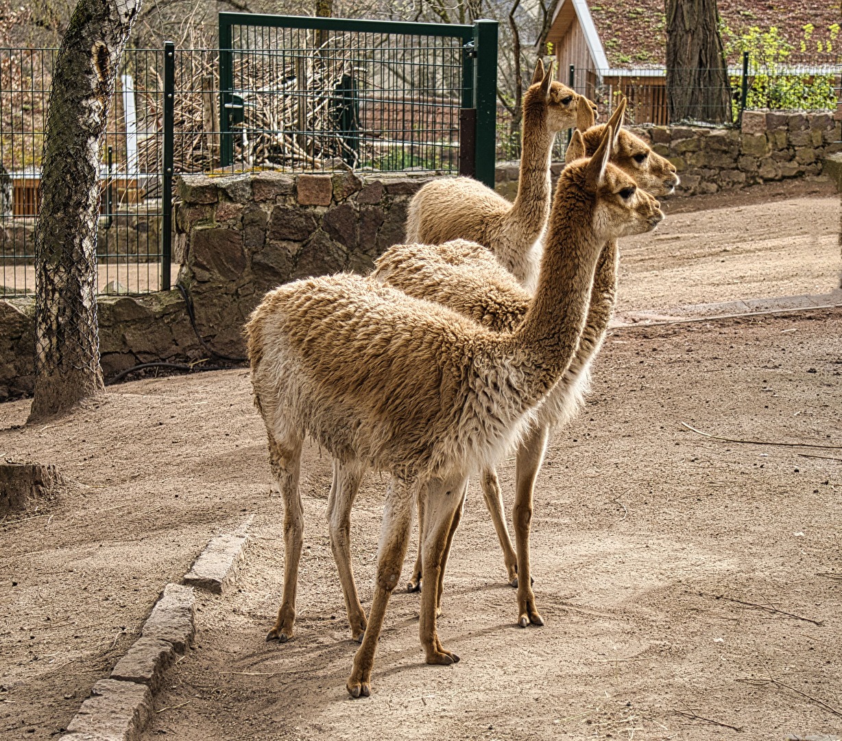 Was gibt das zu sehen