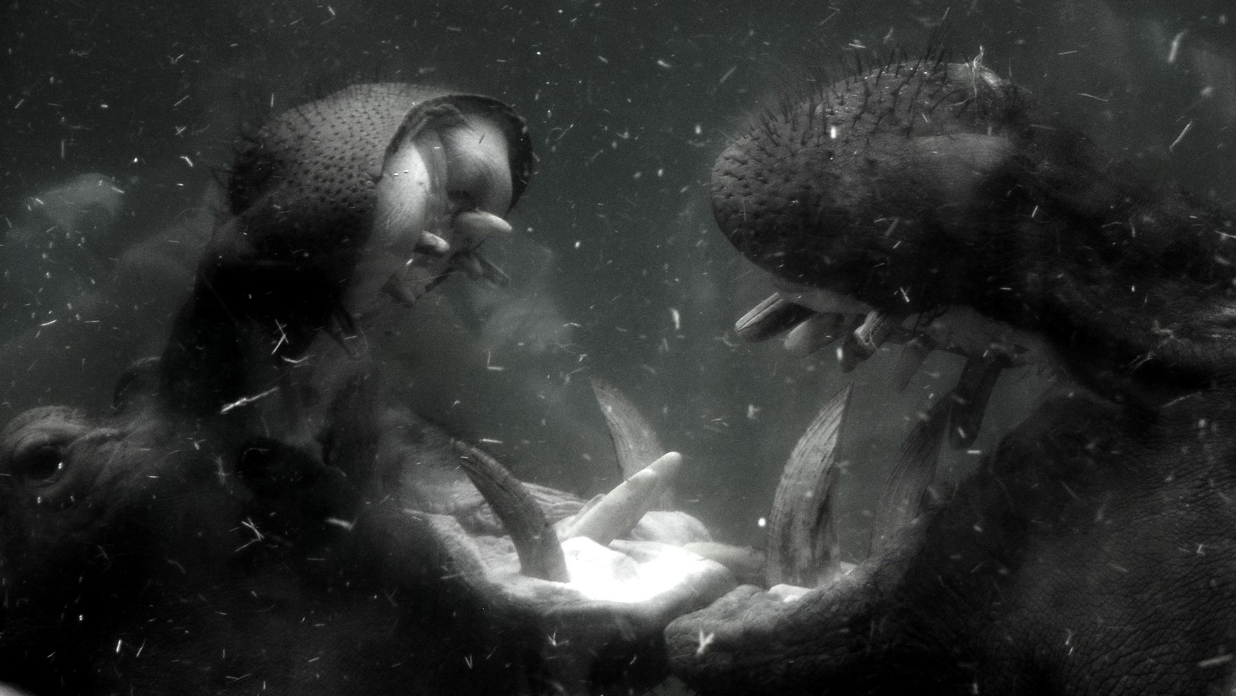 Encounter