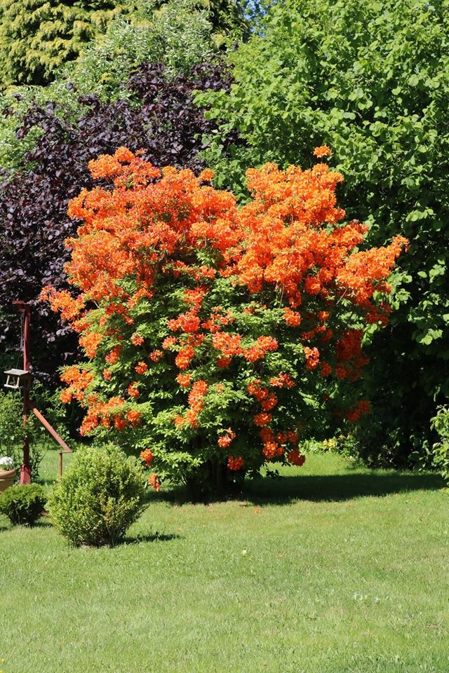 Frühling