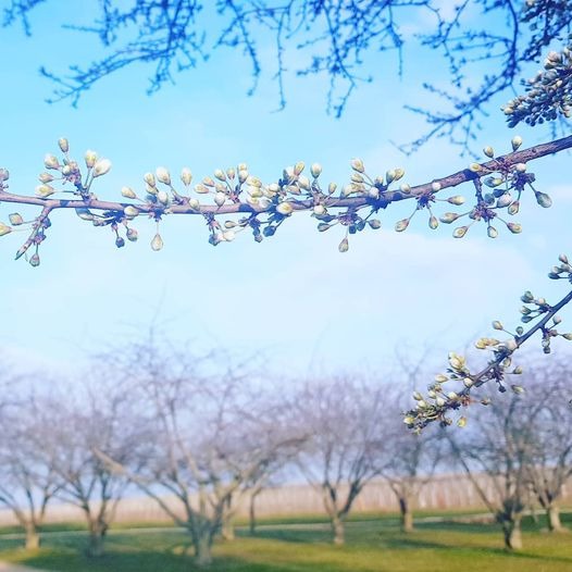 Frühling