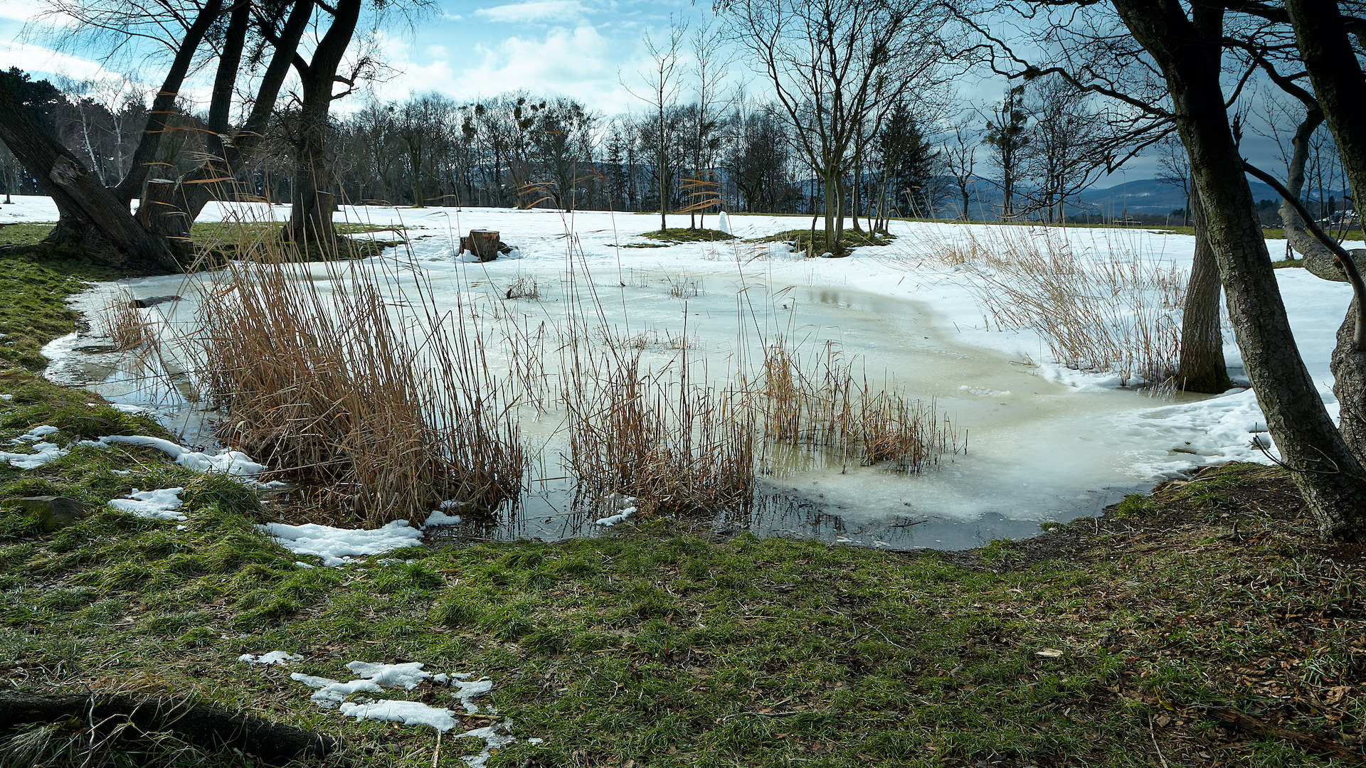 kleines vereistes Wasserloch ...