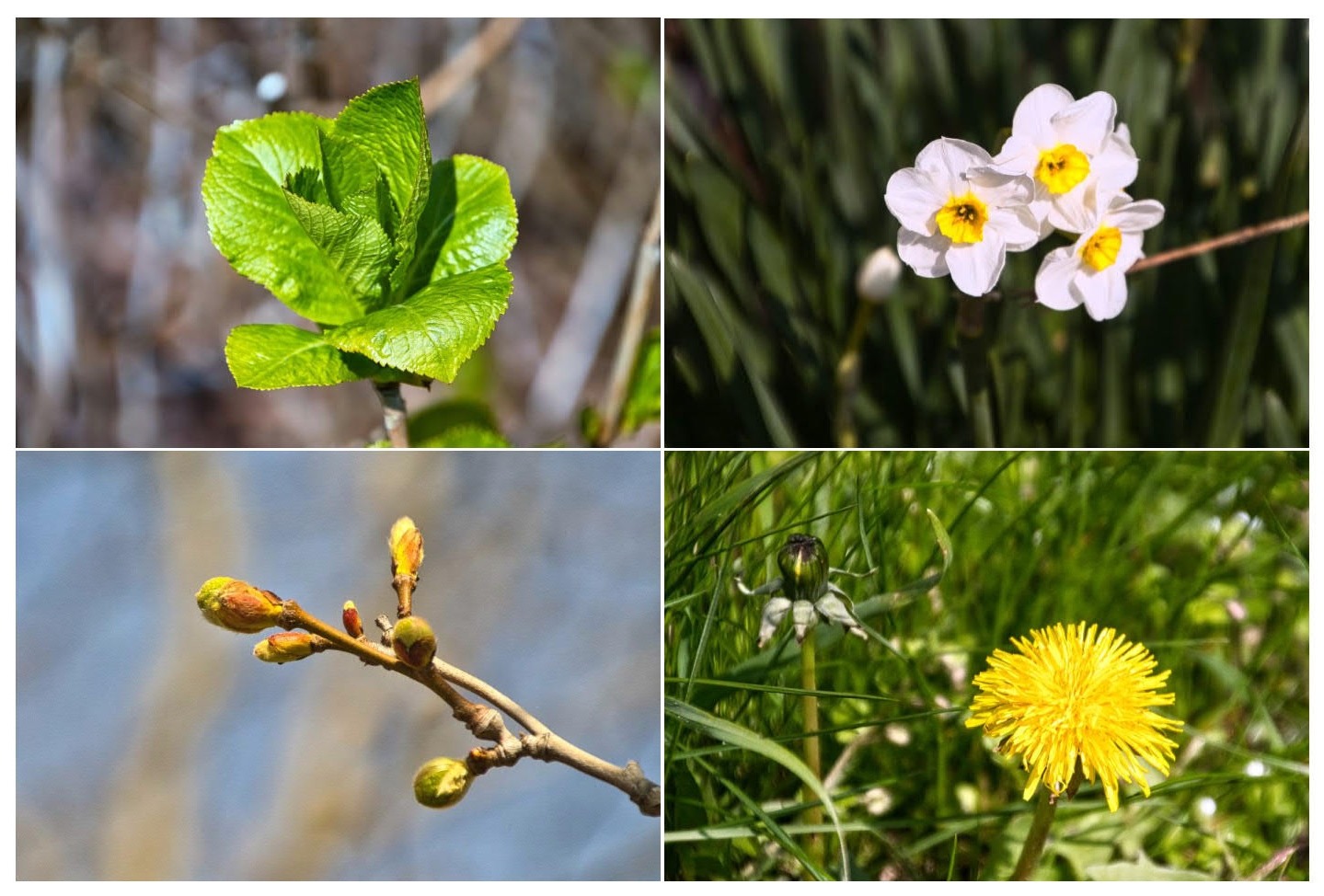 Frühling 2021