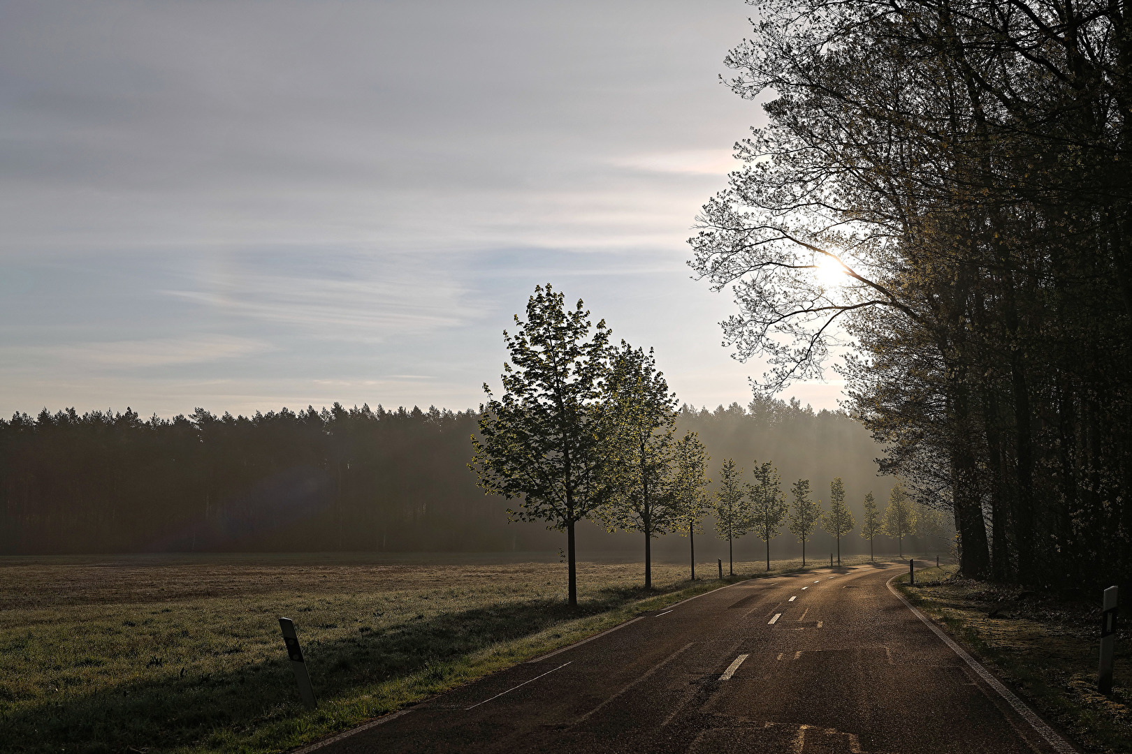 Frühling