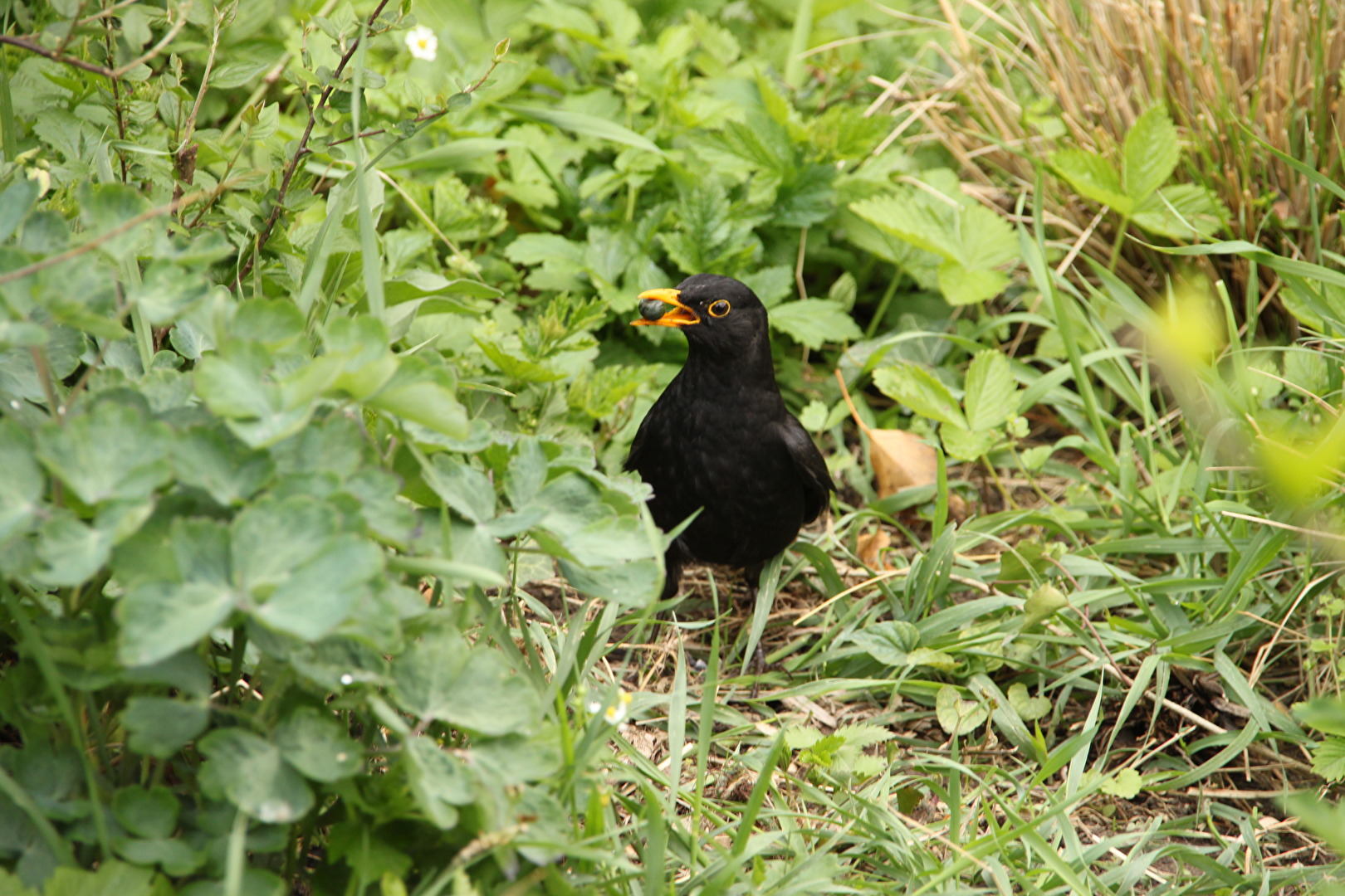 Wir sind auf alle Fälle zufrieden!