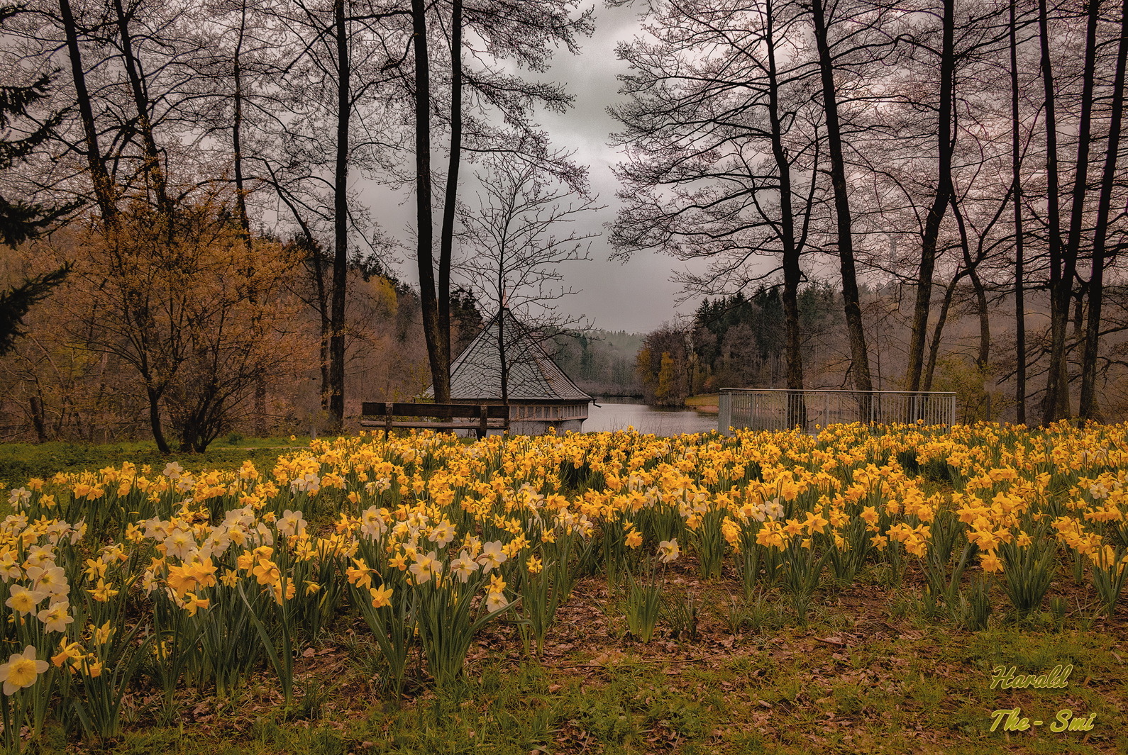 Frühling am Itzenplitzer Weiher