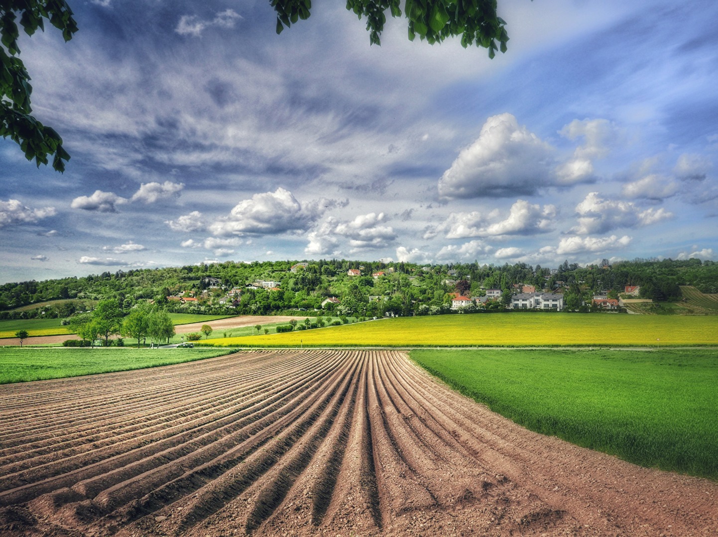 Blick in Land