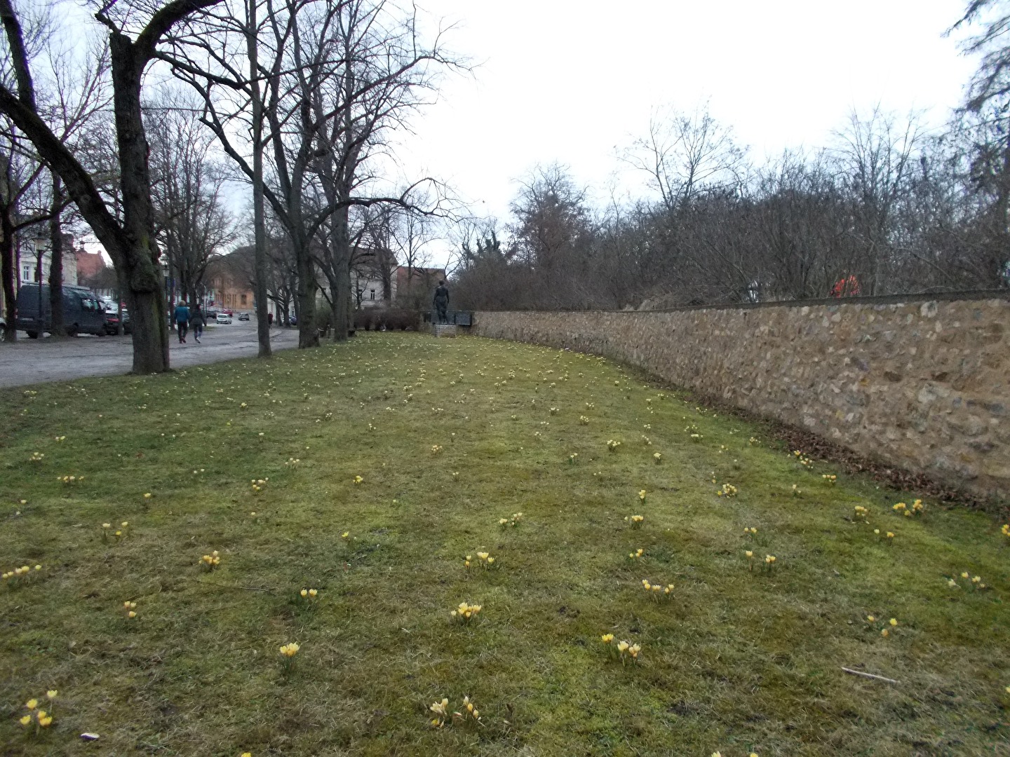 Die Blumen bei der Mauer vom Stadtpark
