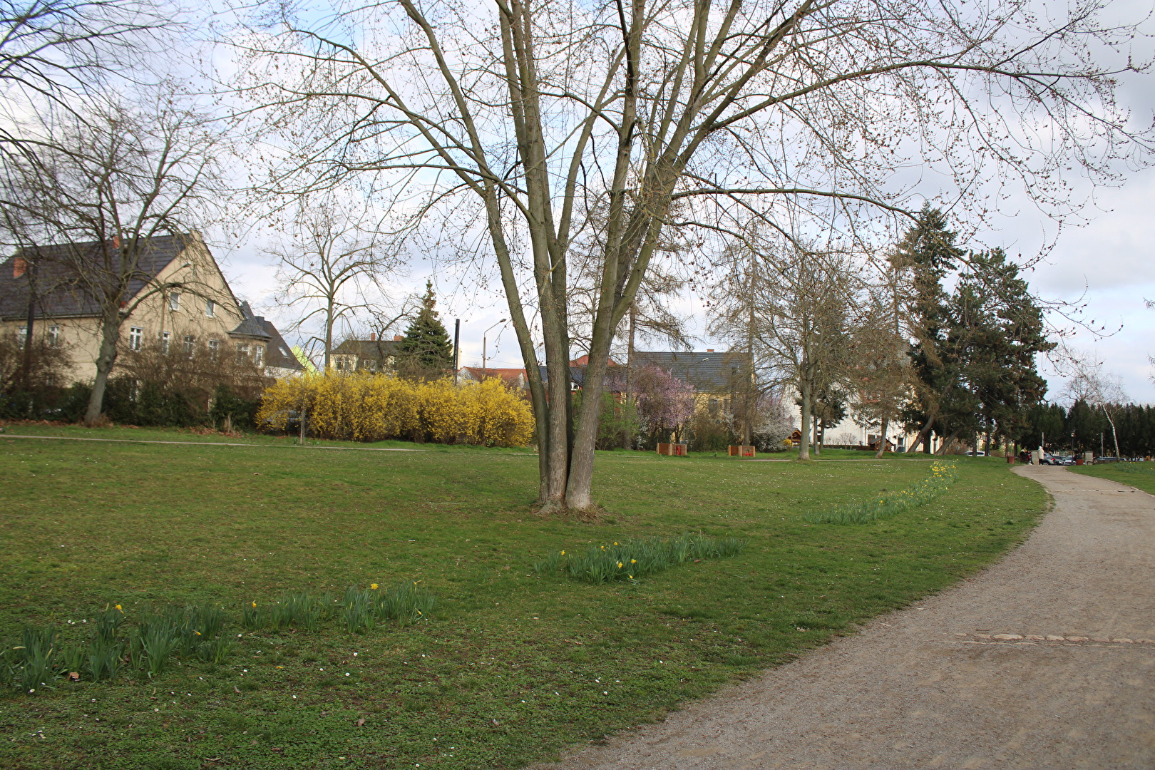 Frühling im Stadtpark (1)