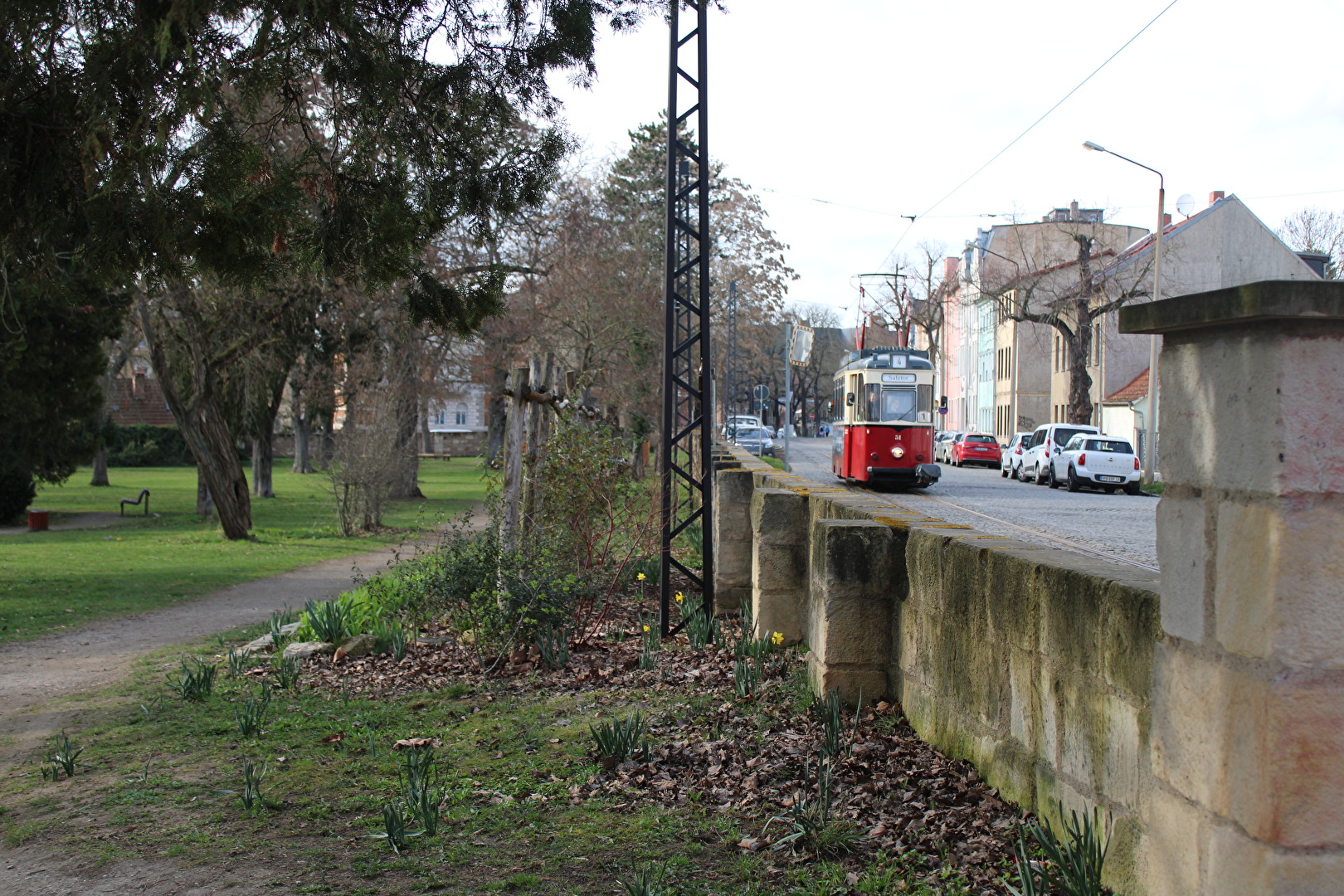 Frühling im Stadtpark (2)