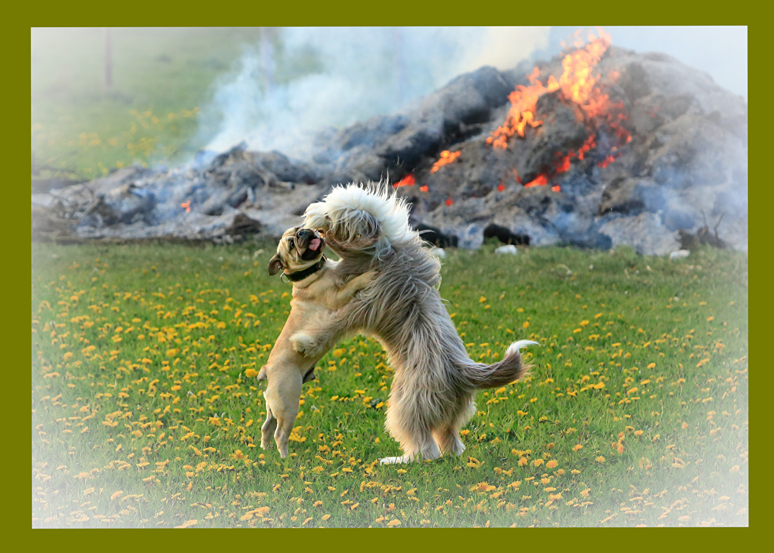 Osterfeuer, wir tanzen in den Frühling . . . .