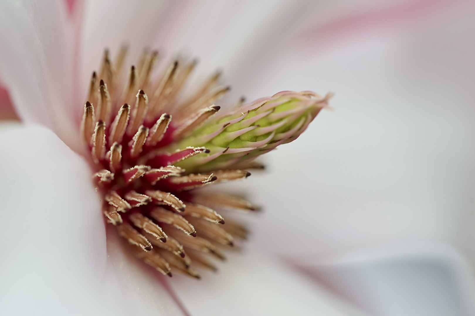 Frühling