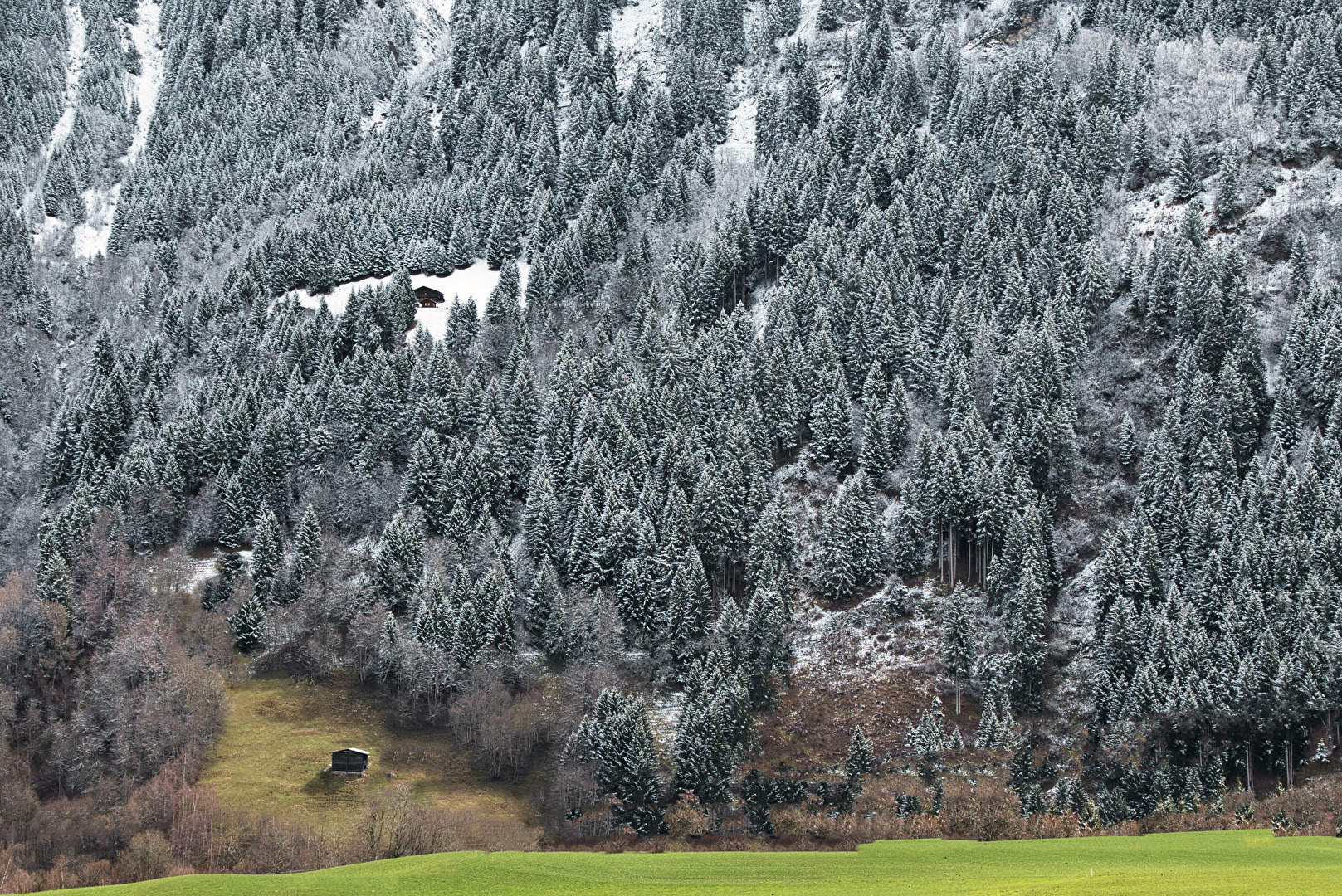Schneefallgrenze