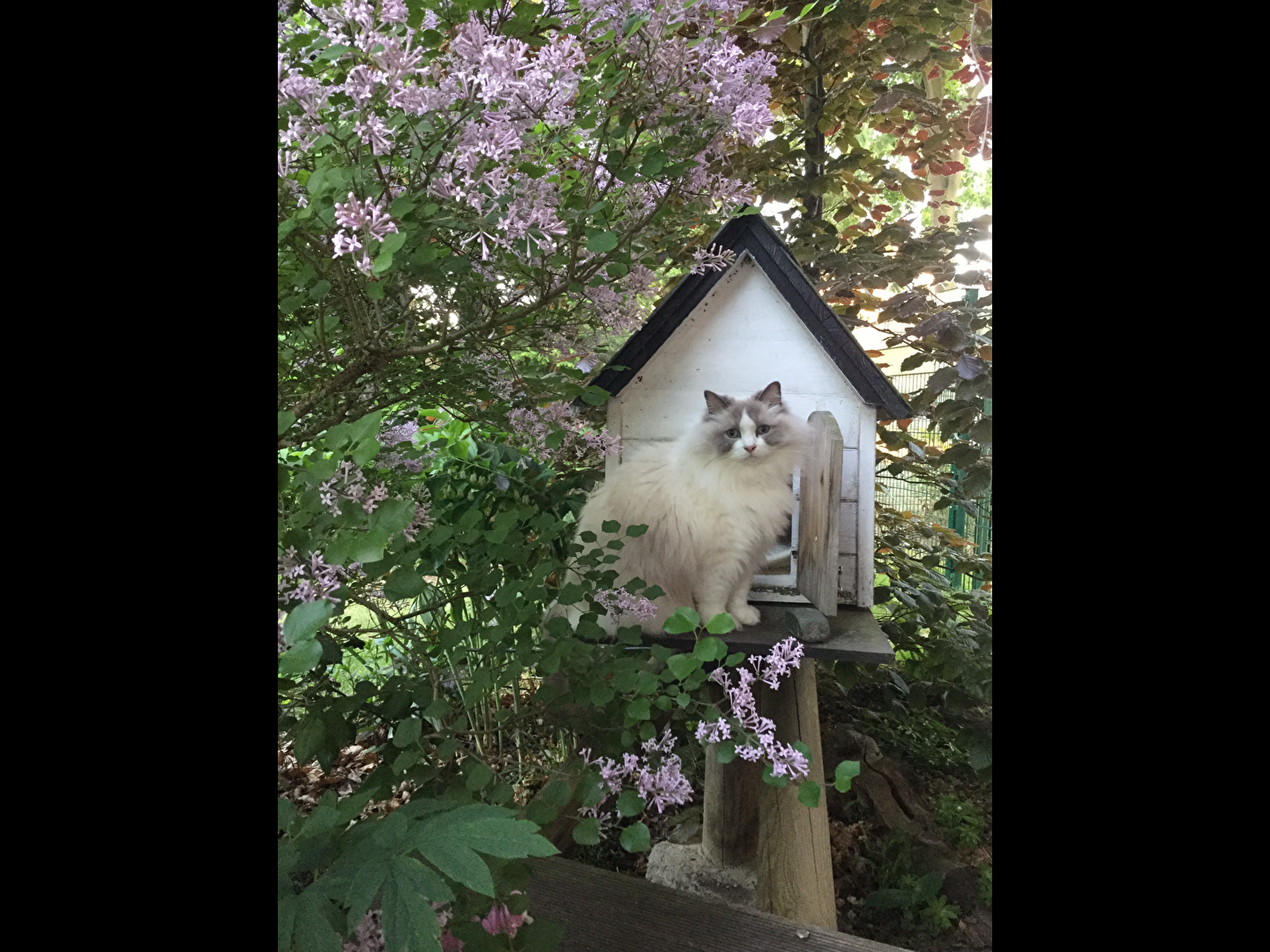 #Frühling