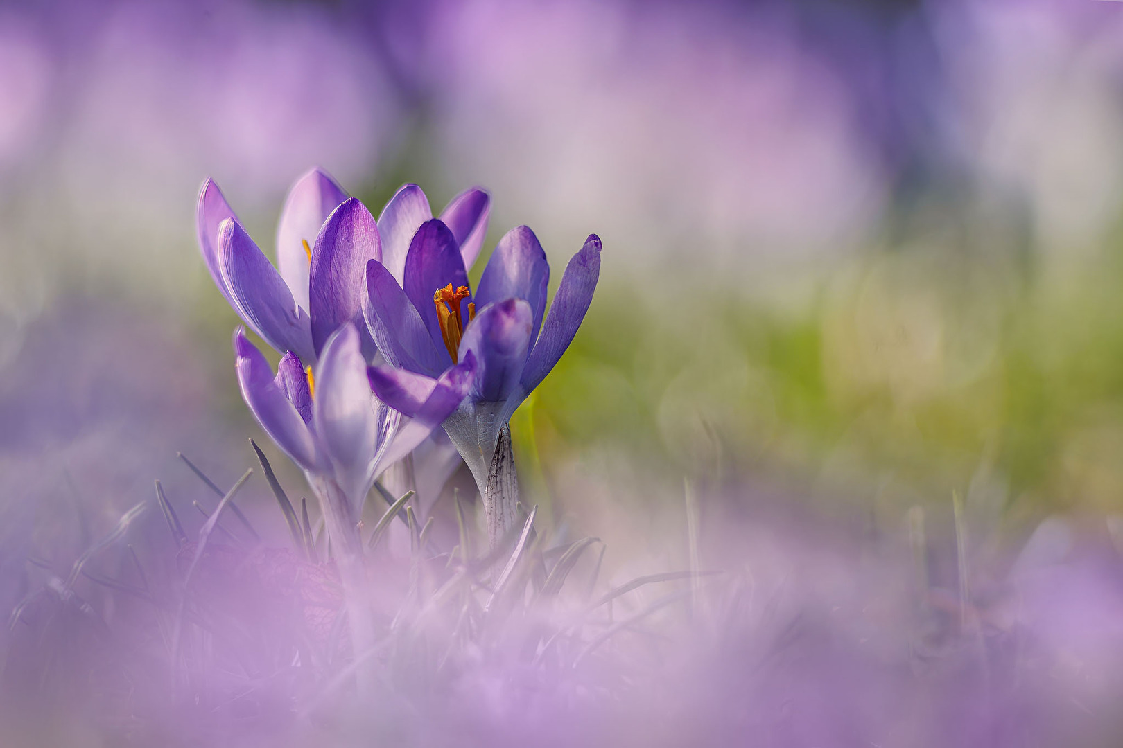 Es geht wieder los...