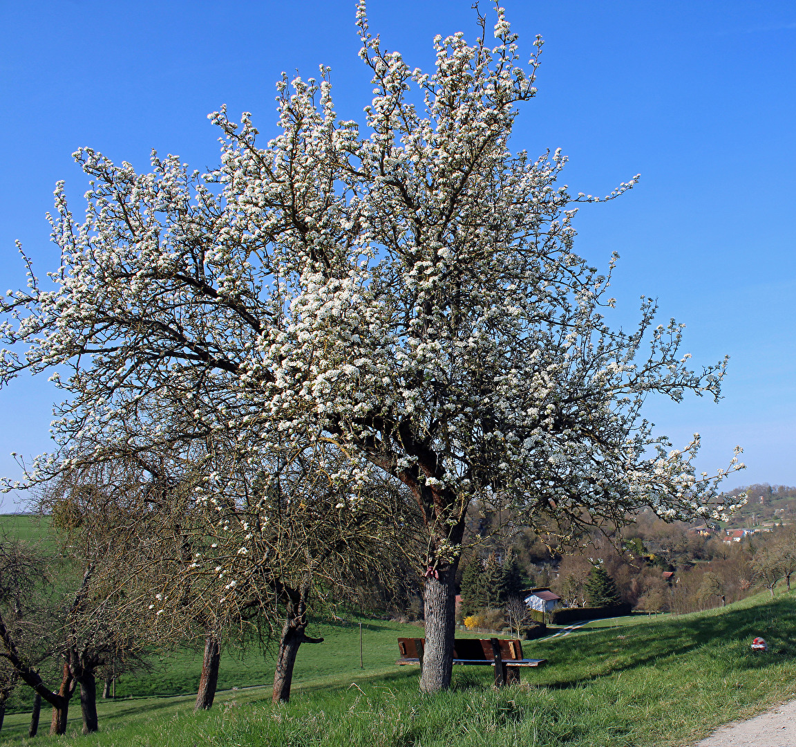 Willkommen im Frühling