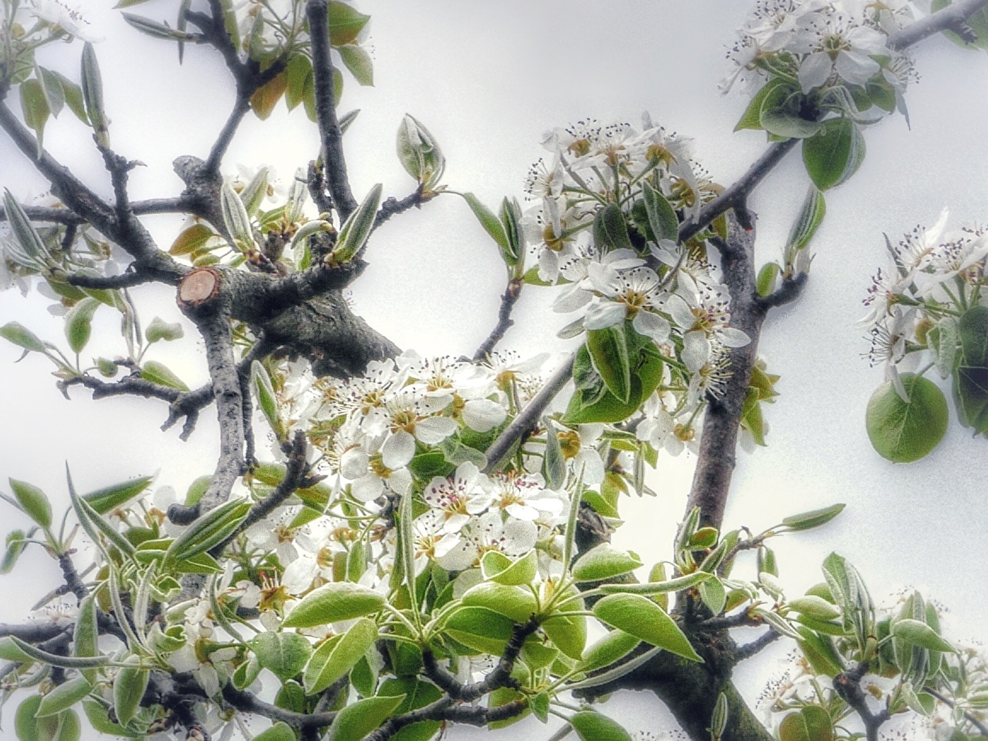 Frühling😊