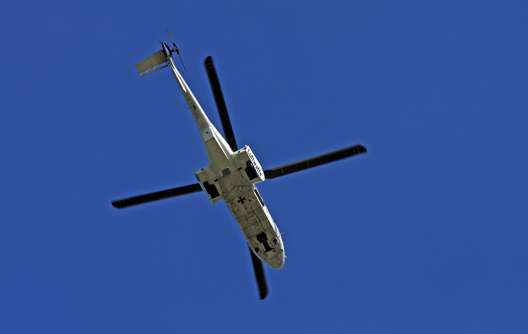 Flugmoment   Lärm / keine Möwe...