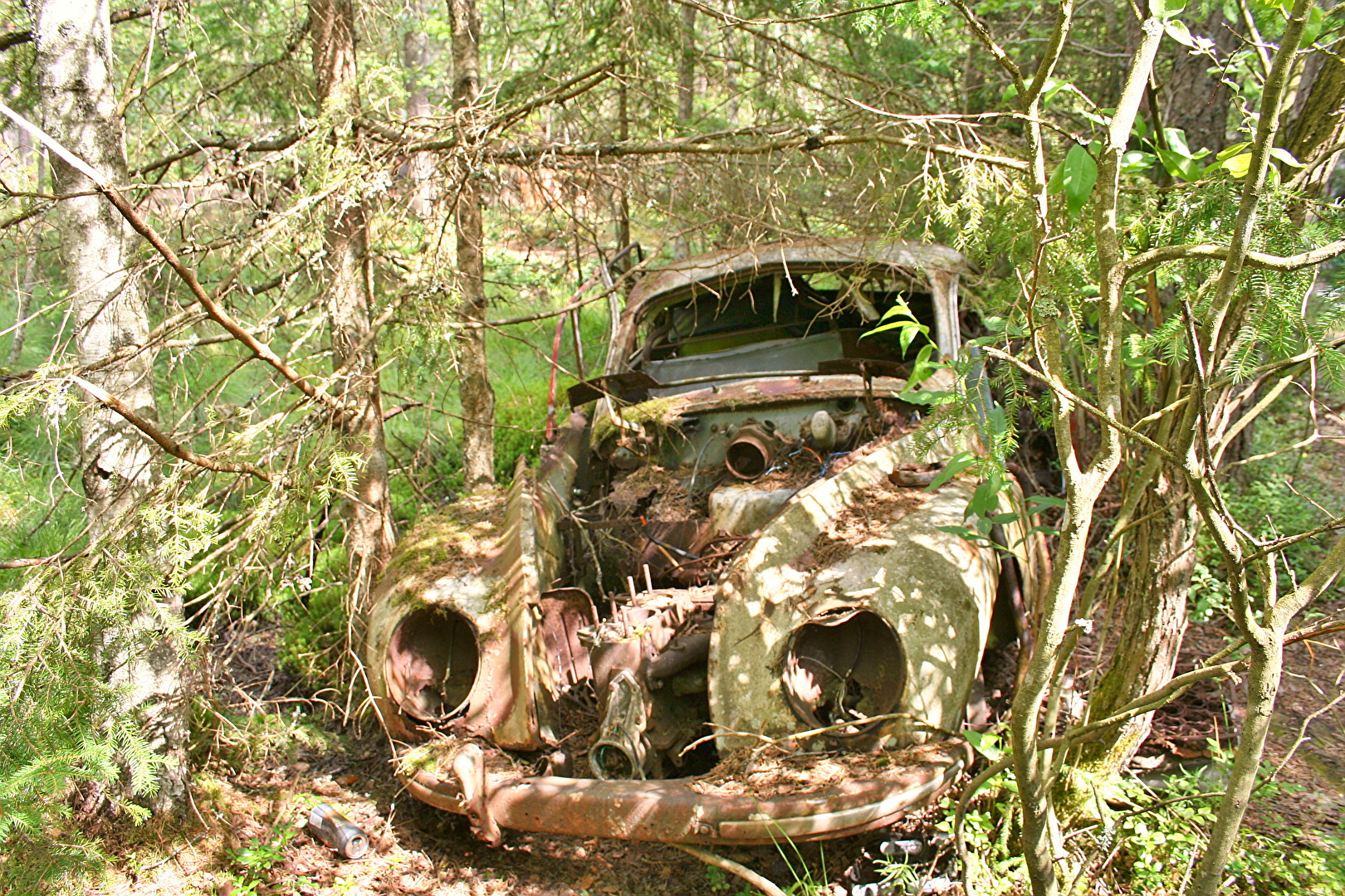 Autofriedhof in Ryd-Mittelschweden