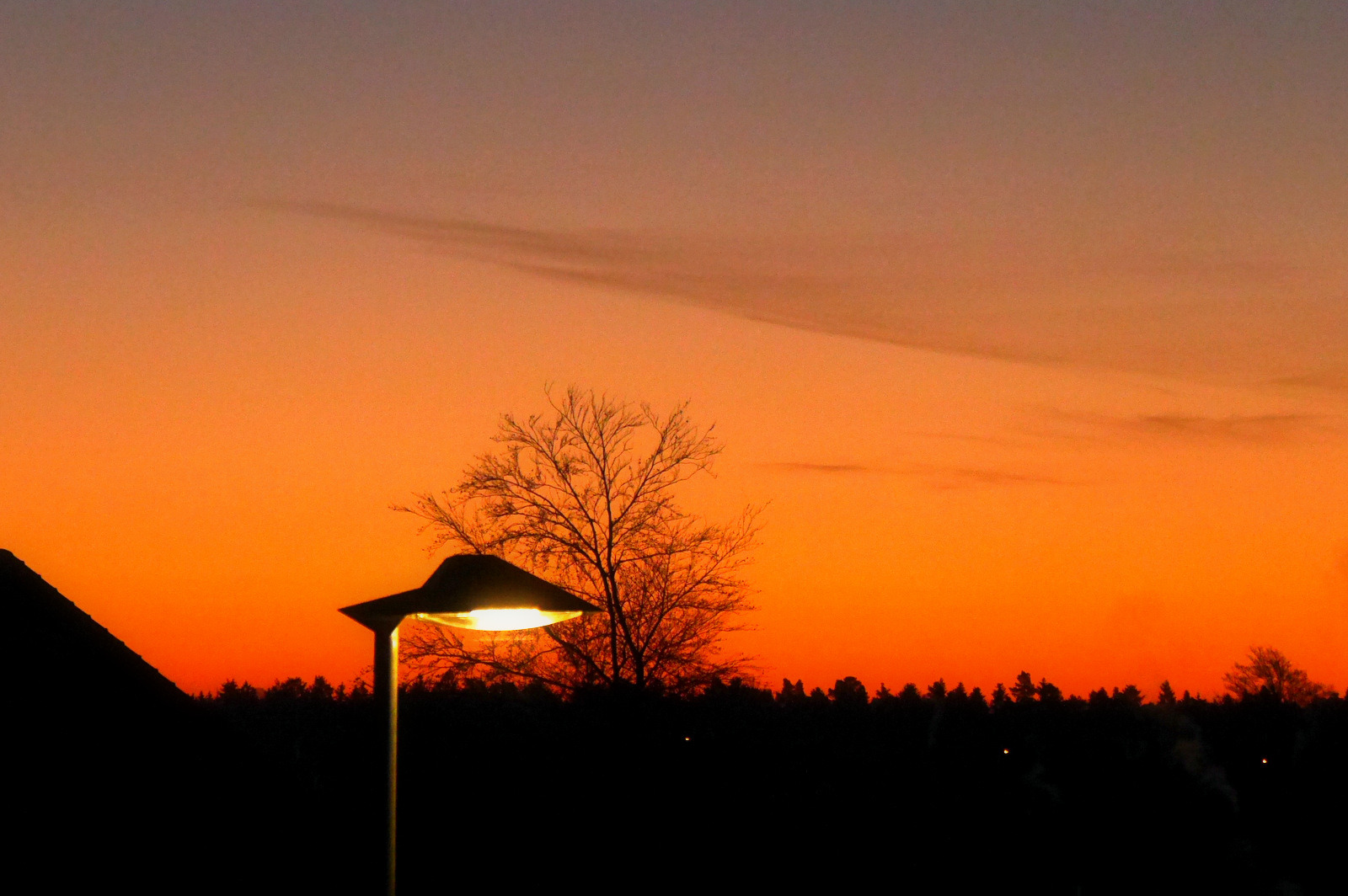 Fotowettbewerb-20-12