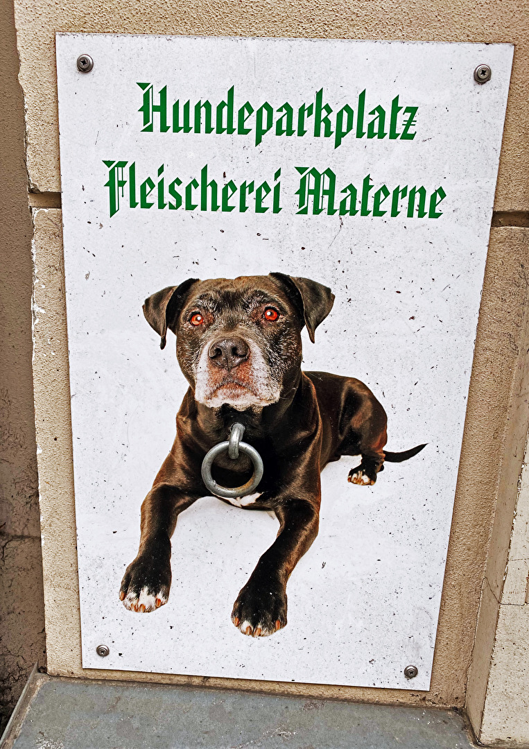 #Hunde